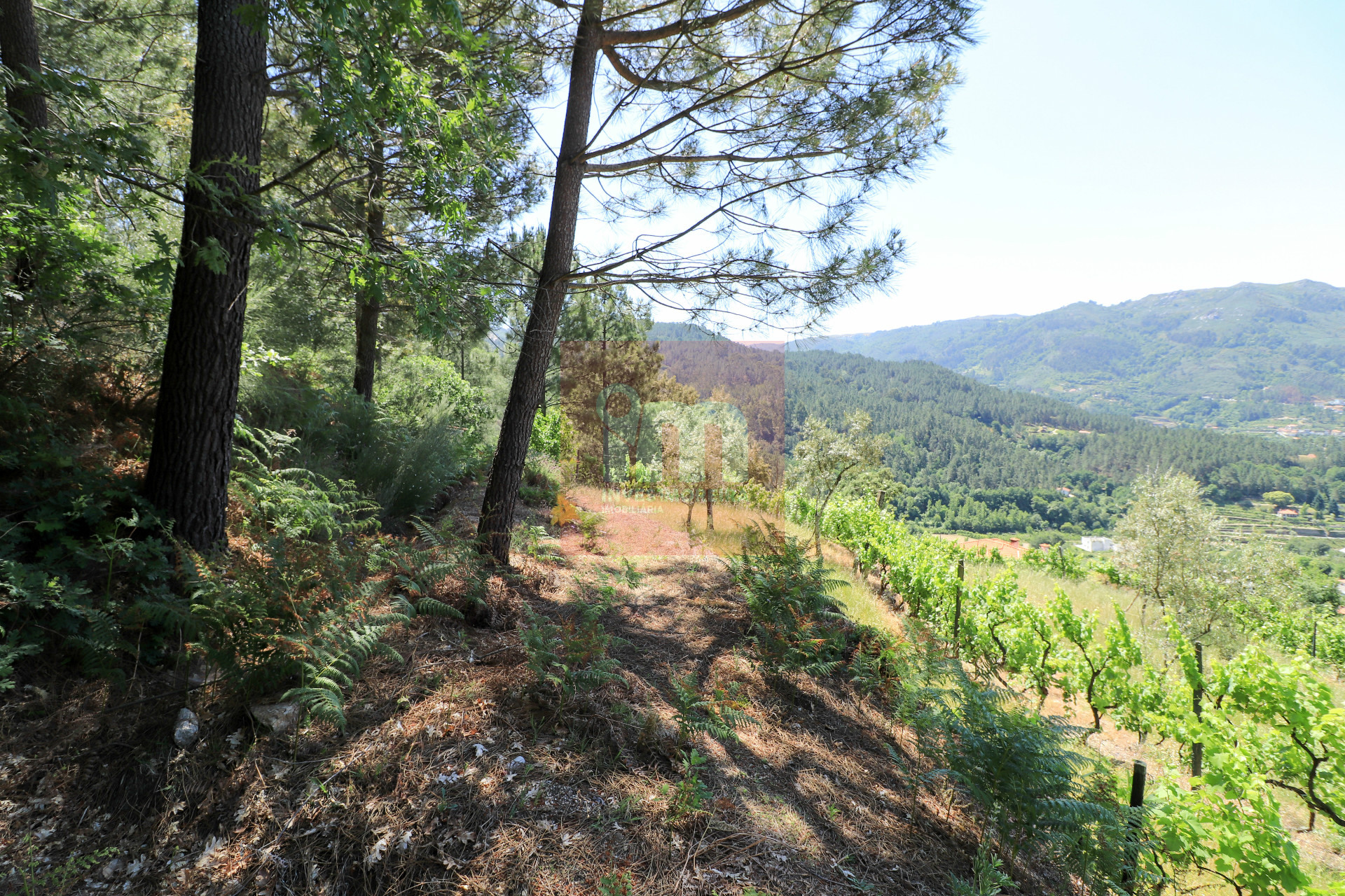 Herdade