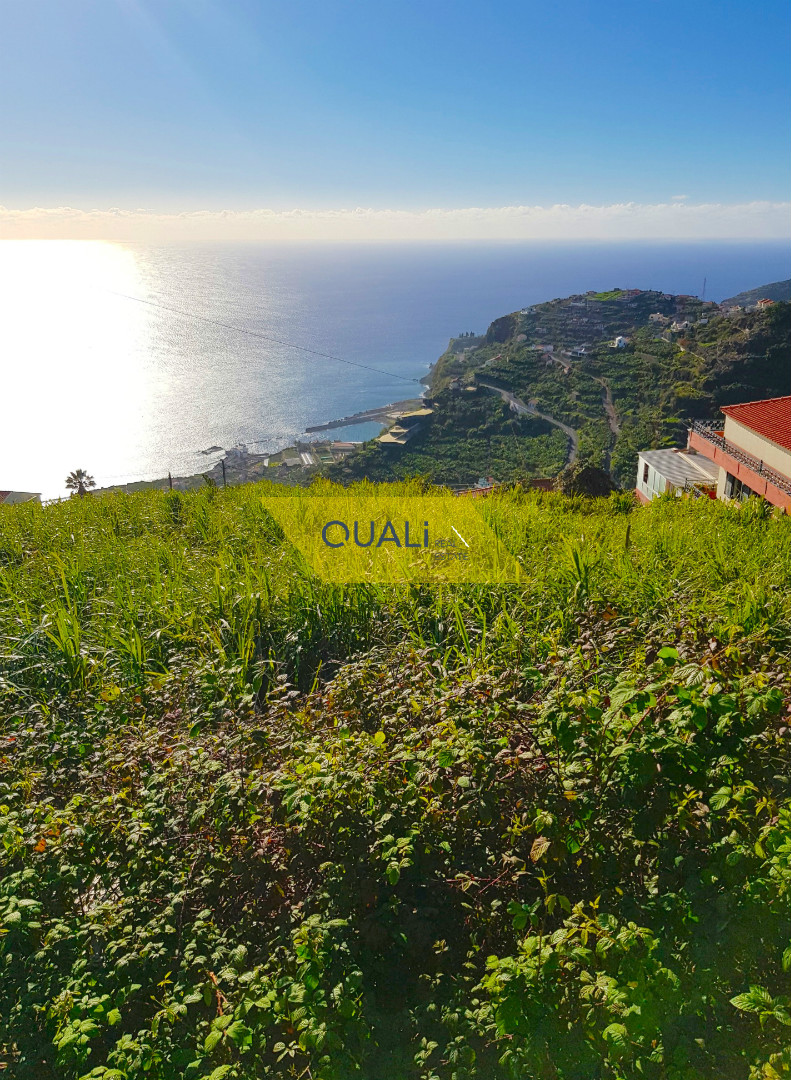 Terreno com 465 m2 na Ribeira Brava - Ilha da Madeira € 30.000,00