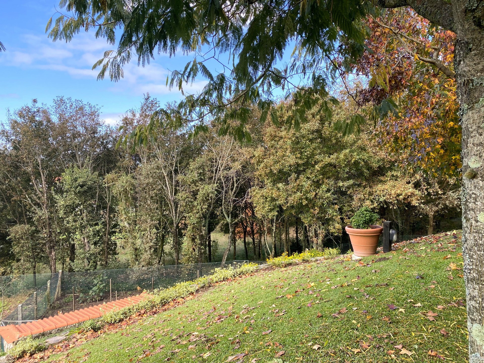 Propriété de tourisme rural sur le Camino de Santiago