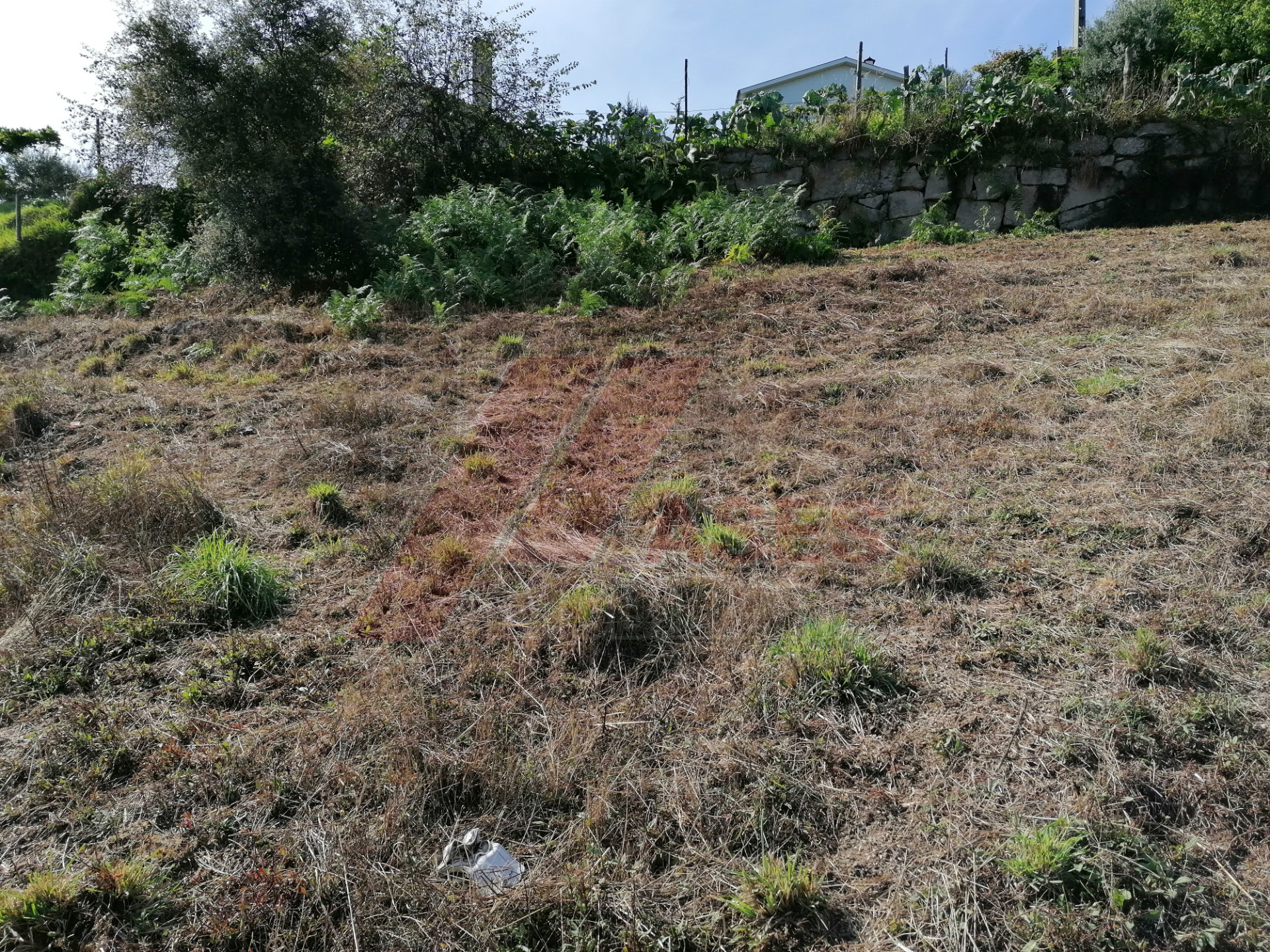 Moradia para restauro em Petimão