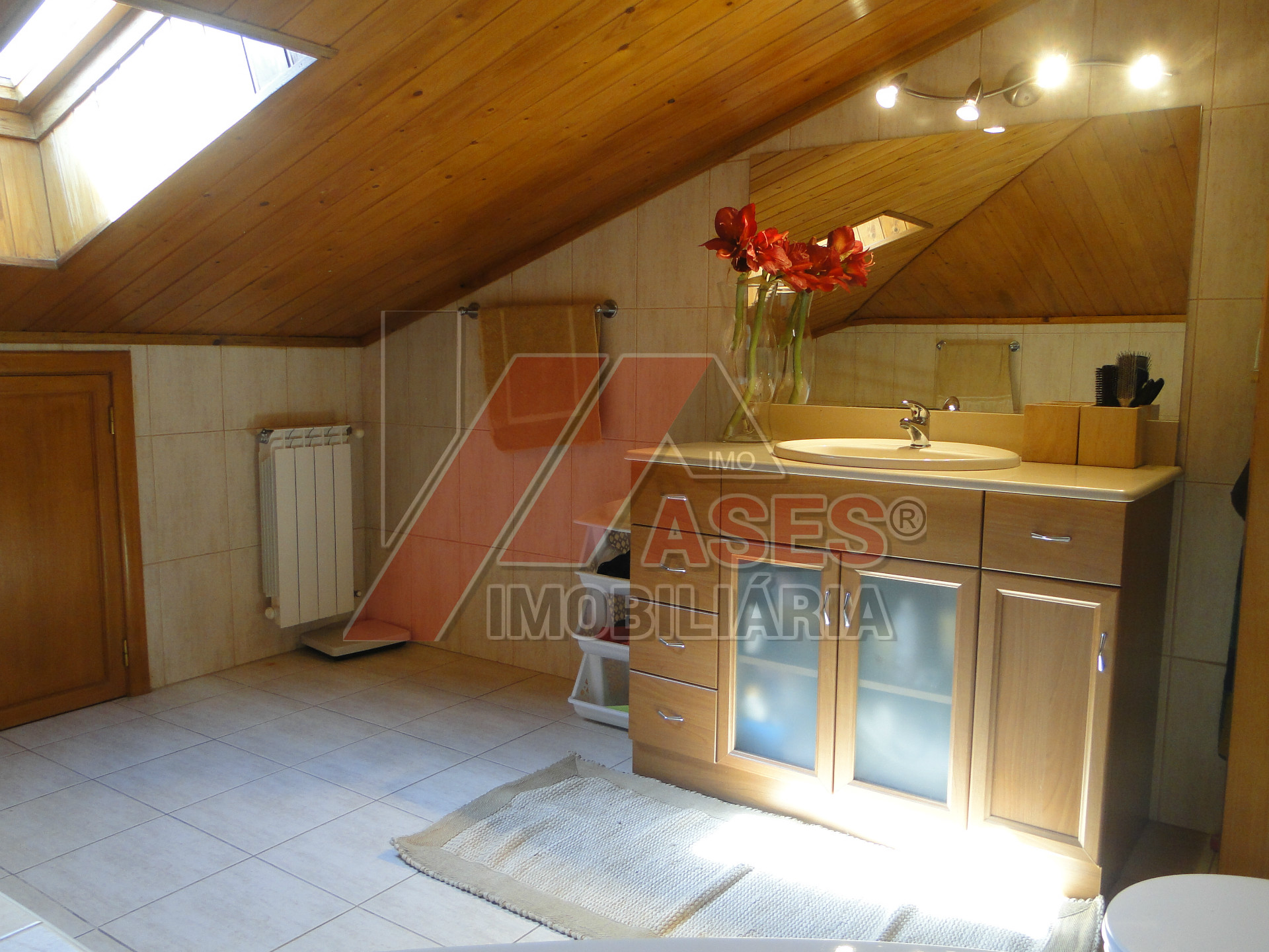 Abitazione 5 Vani +1