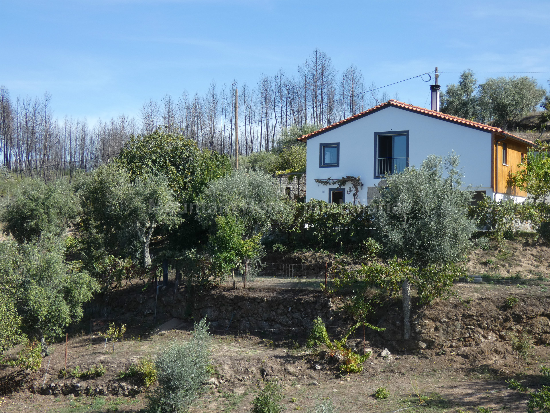 Pequeña finca 2 habitaciones