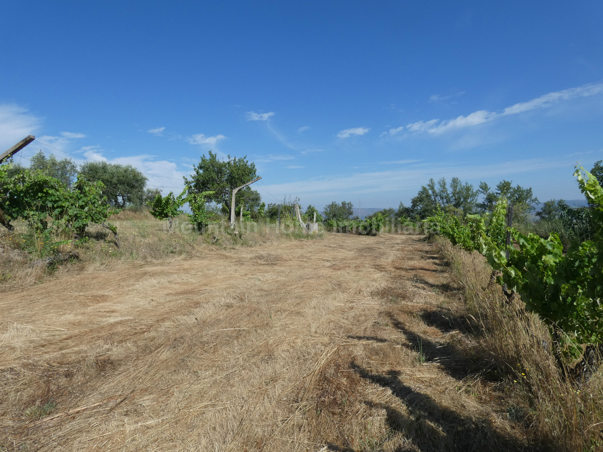 Terreno per Costruzione Monolocale