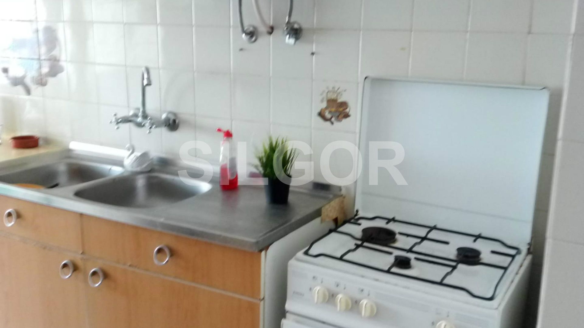Appartement 1 Chambre(s)