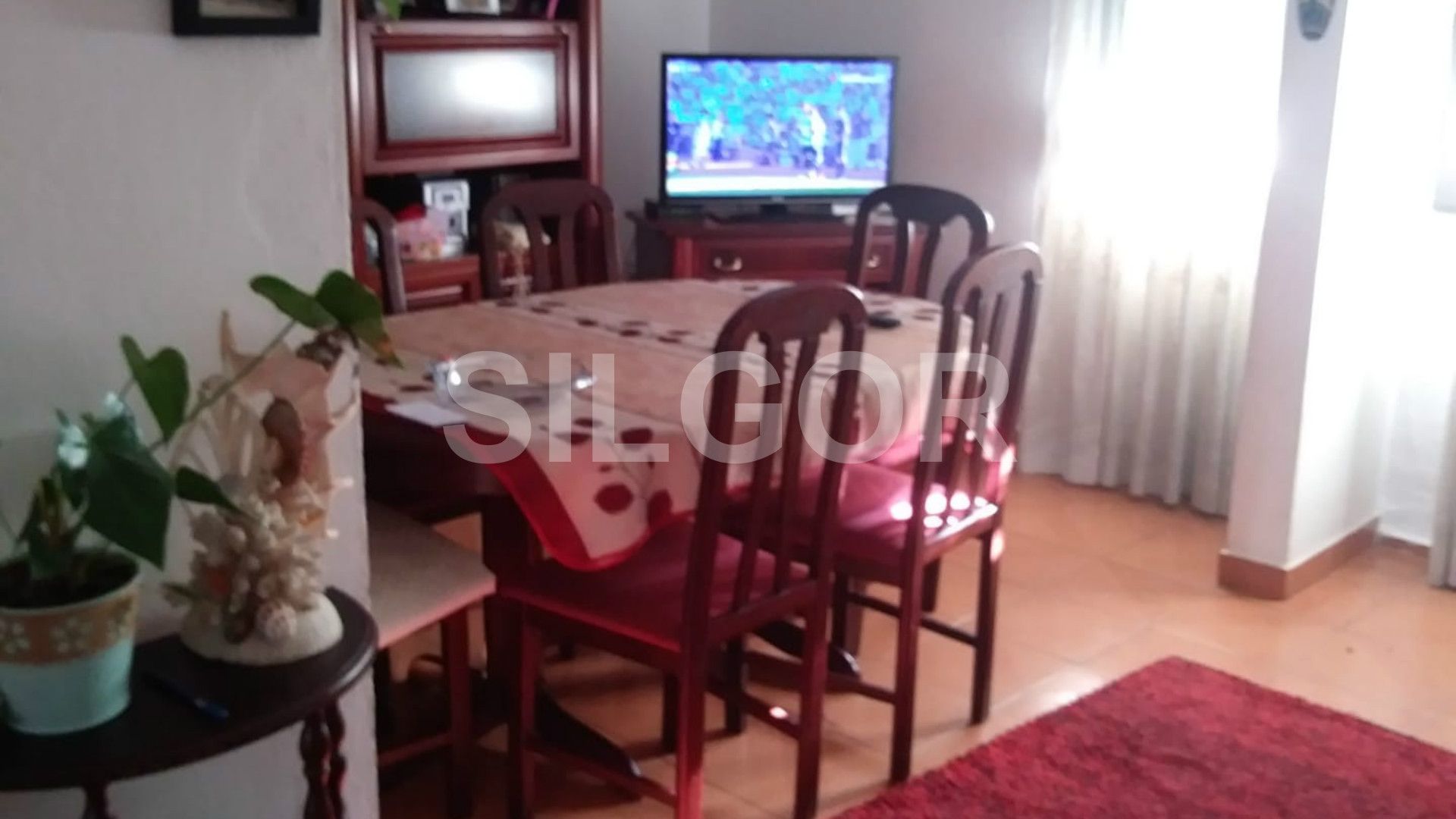 Apartamiento 3 habitaciones