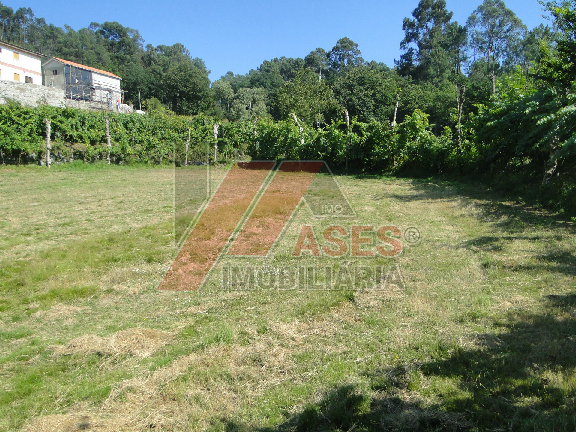 Boerderij 3 kamerwoning