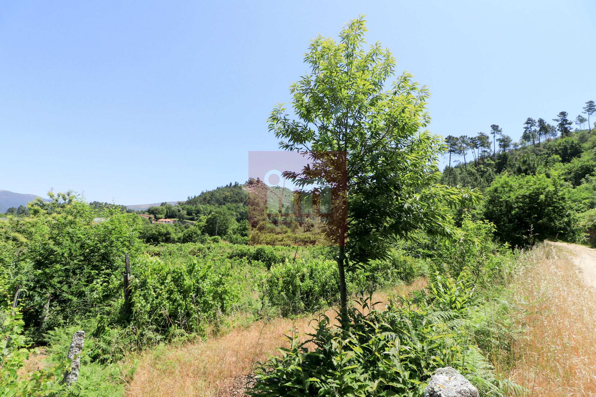 Herdade