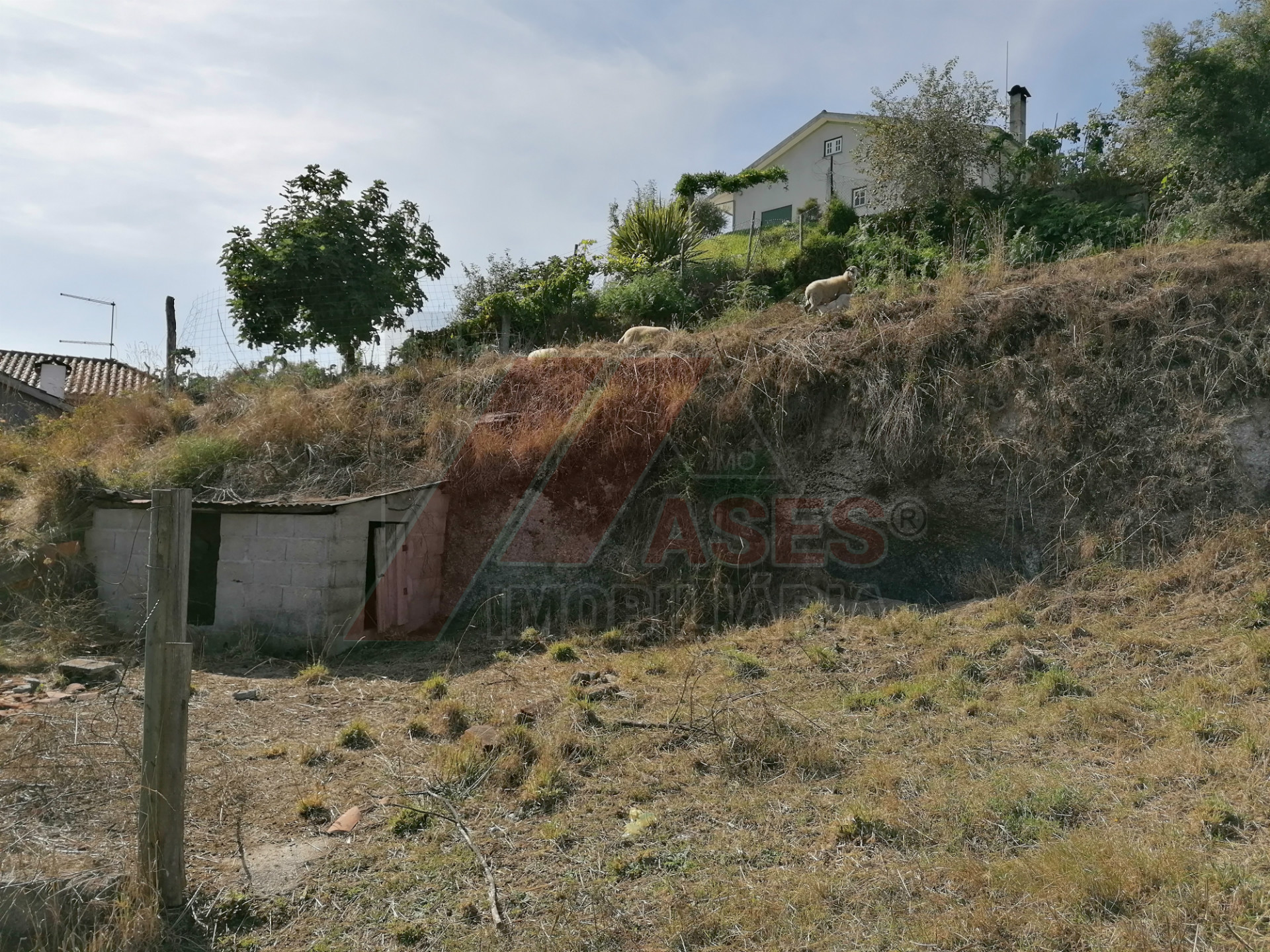 Moradia para restauro em Petimão