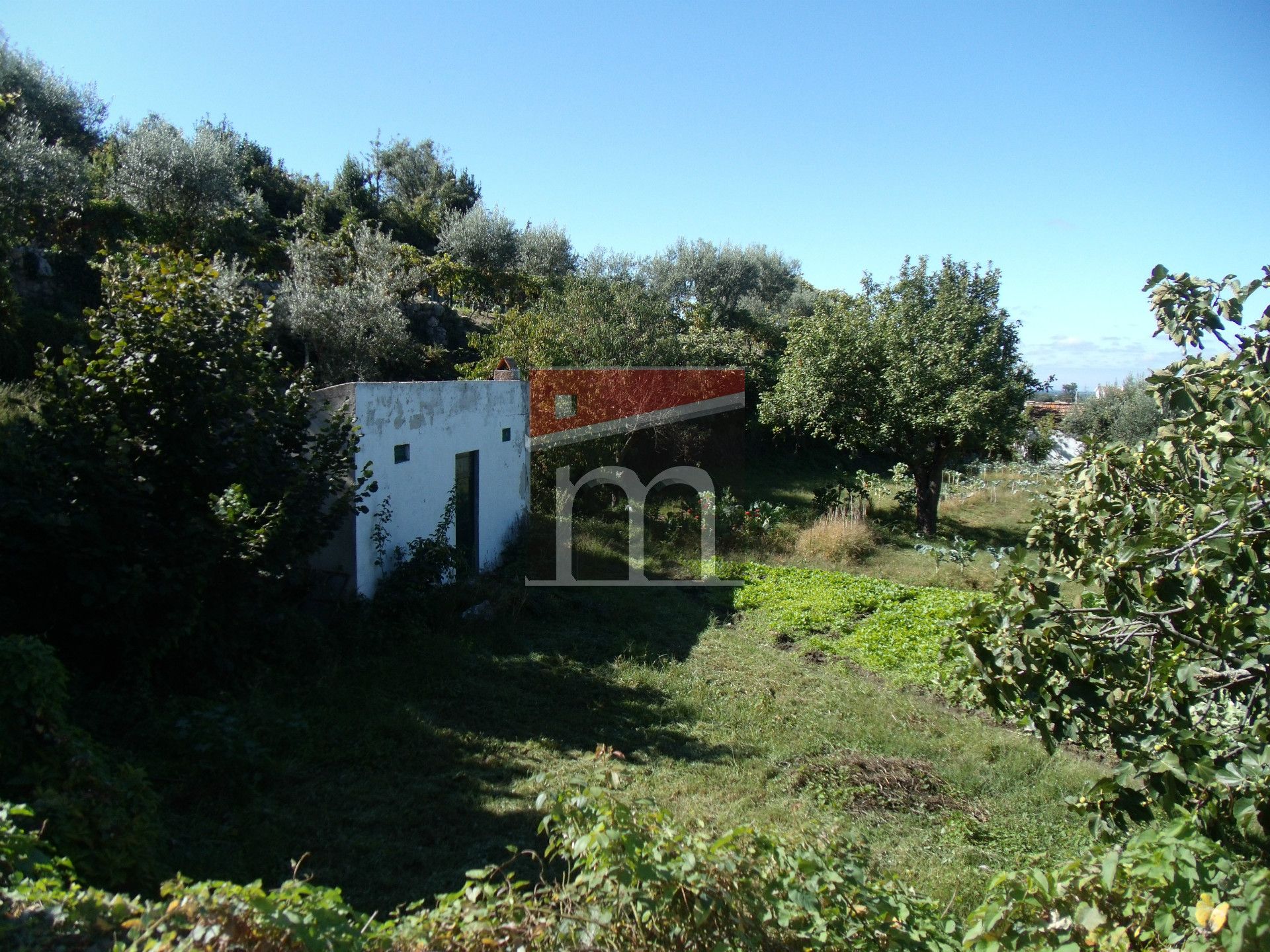 Terreno Para Construção