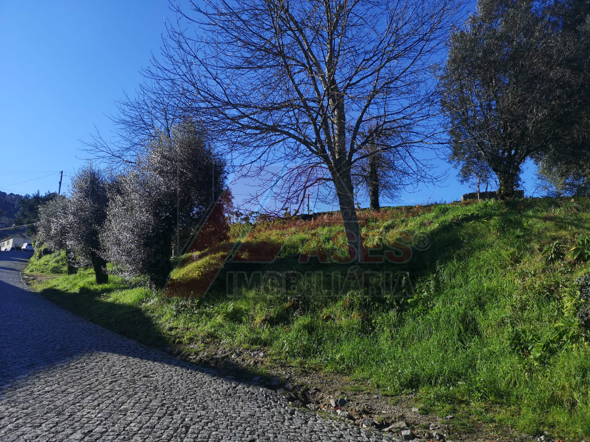 Terreno per Costruzione