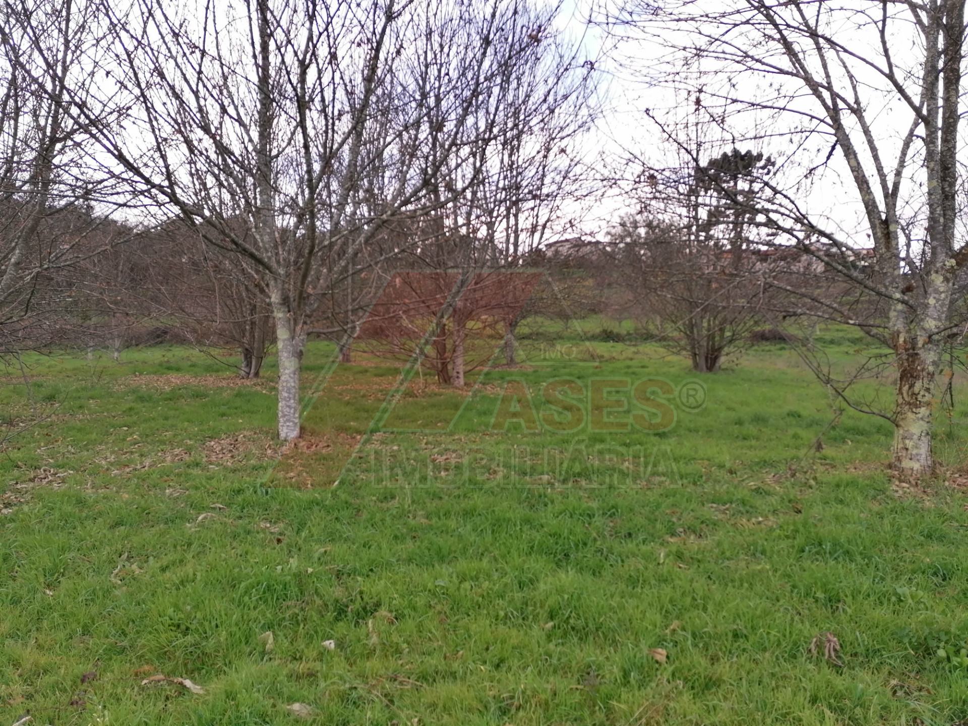 herencia 4 habitaciones