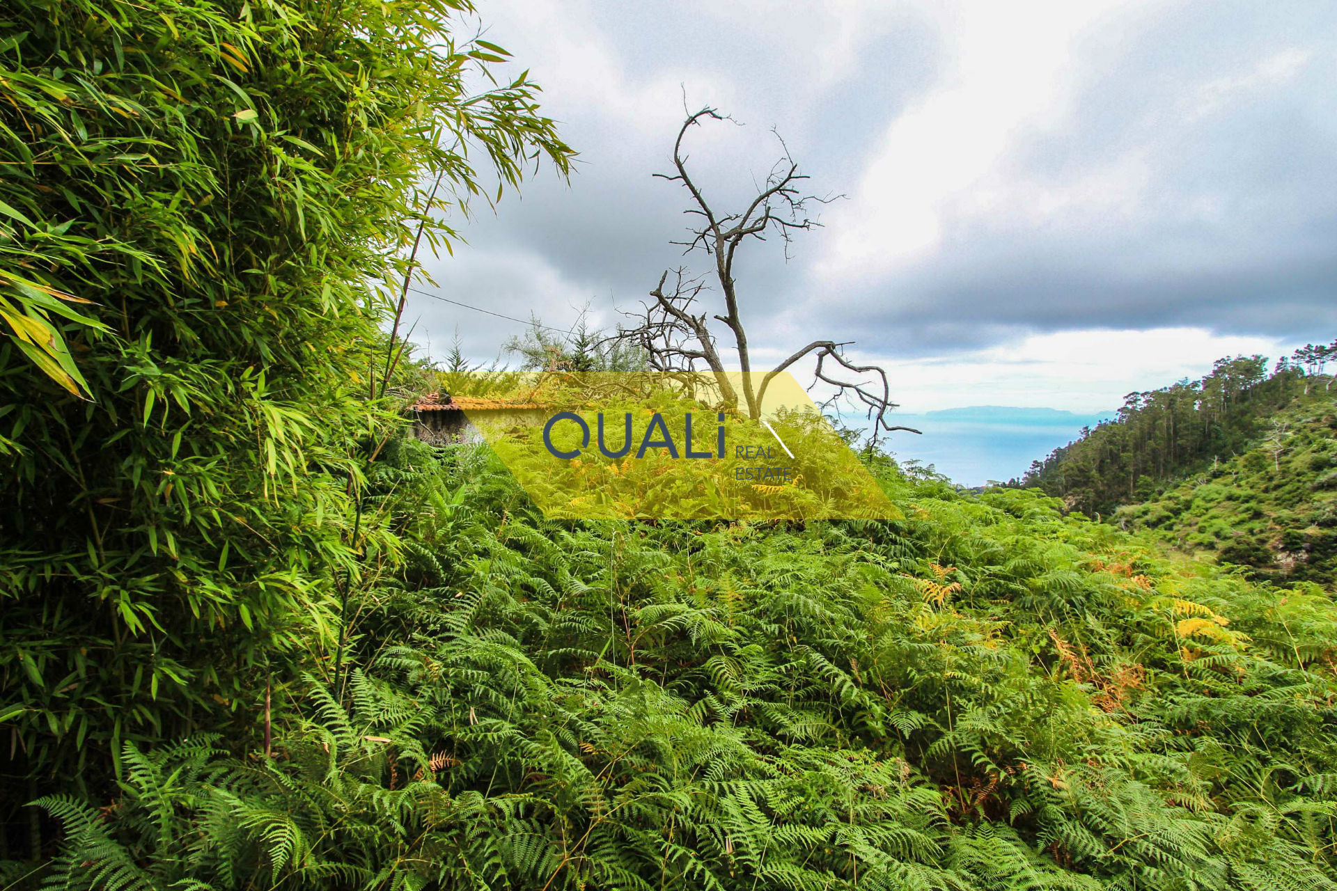 Terreno 980 m2 com casa em ruinas em Conselho de Santa Cruz €50.000,00