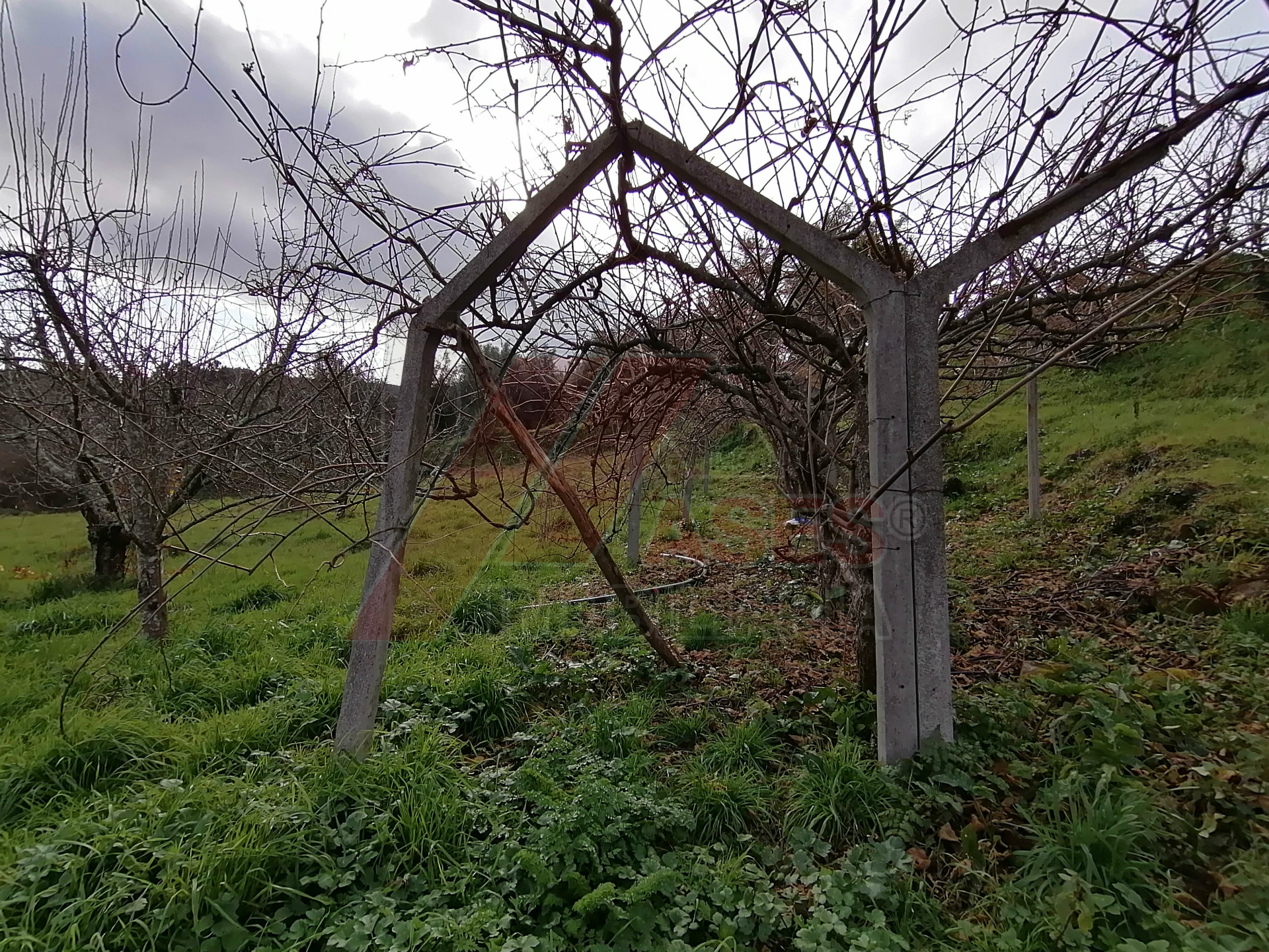 herencia 4 habitaciones