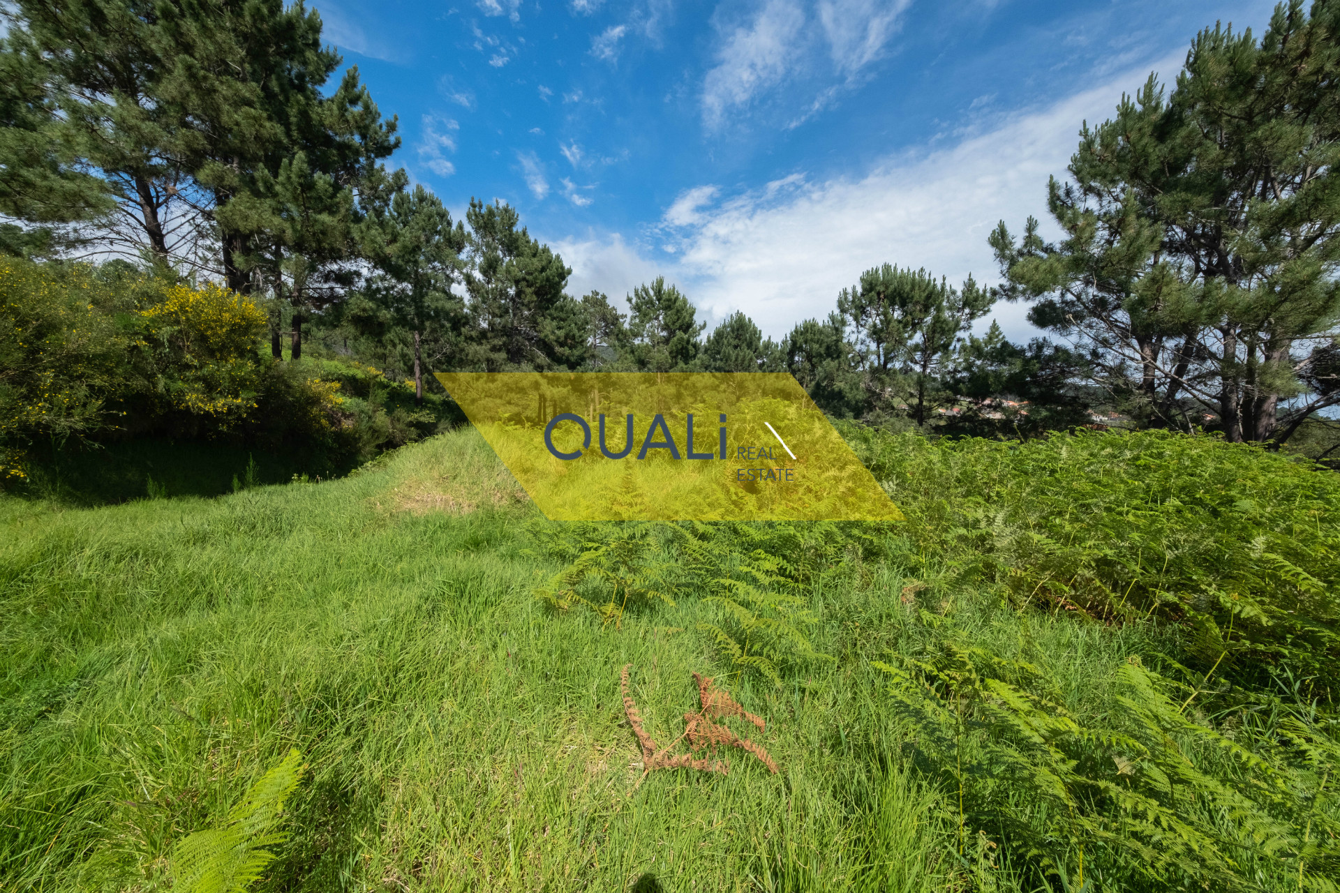 Terreno com 782m2,viabilidade de Construção na Fajã da Ovelha - € 31.500,00