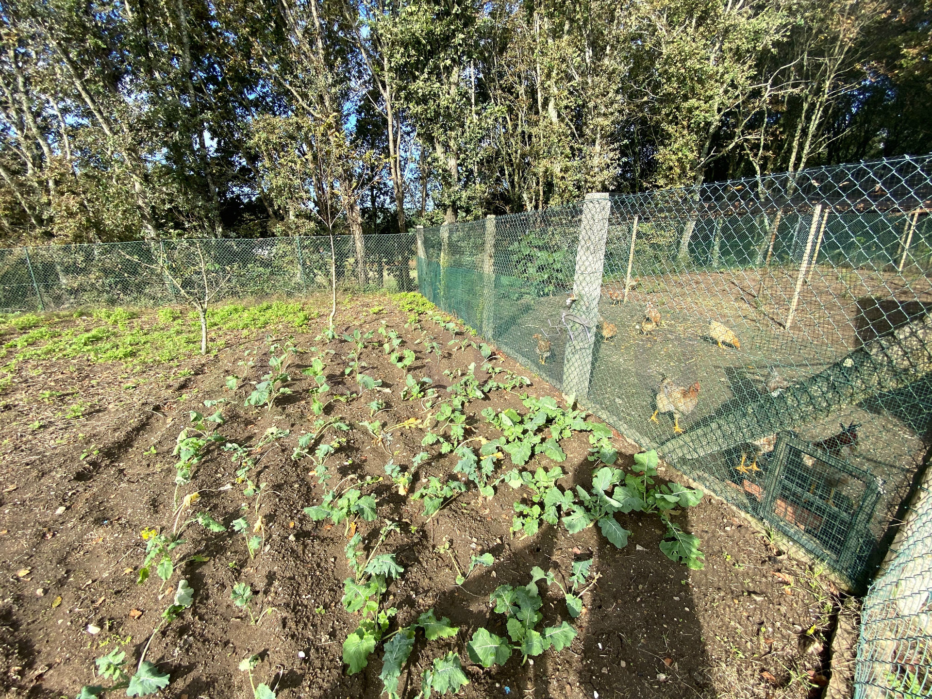 Propriété de tourisme rural sur le Camino de Santiago