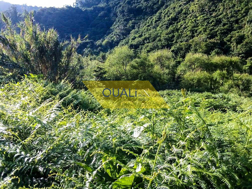 Terreno rustico di 1250m2 ad Arco de São Jorge - Isola di Madeira - € 70.000,00