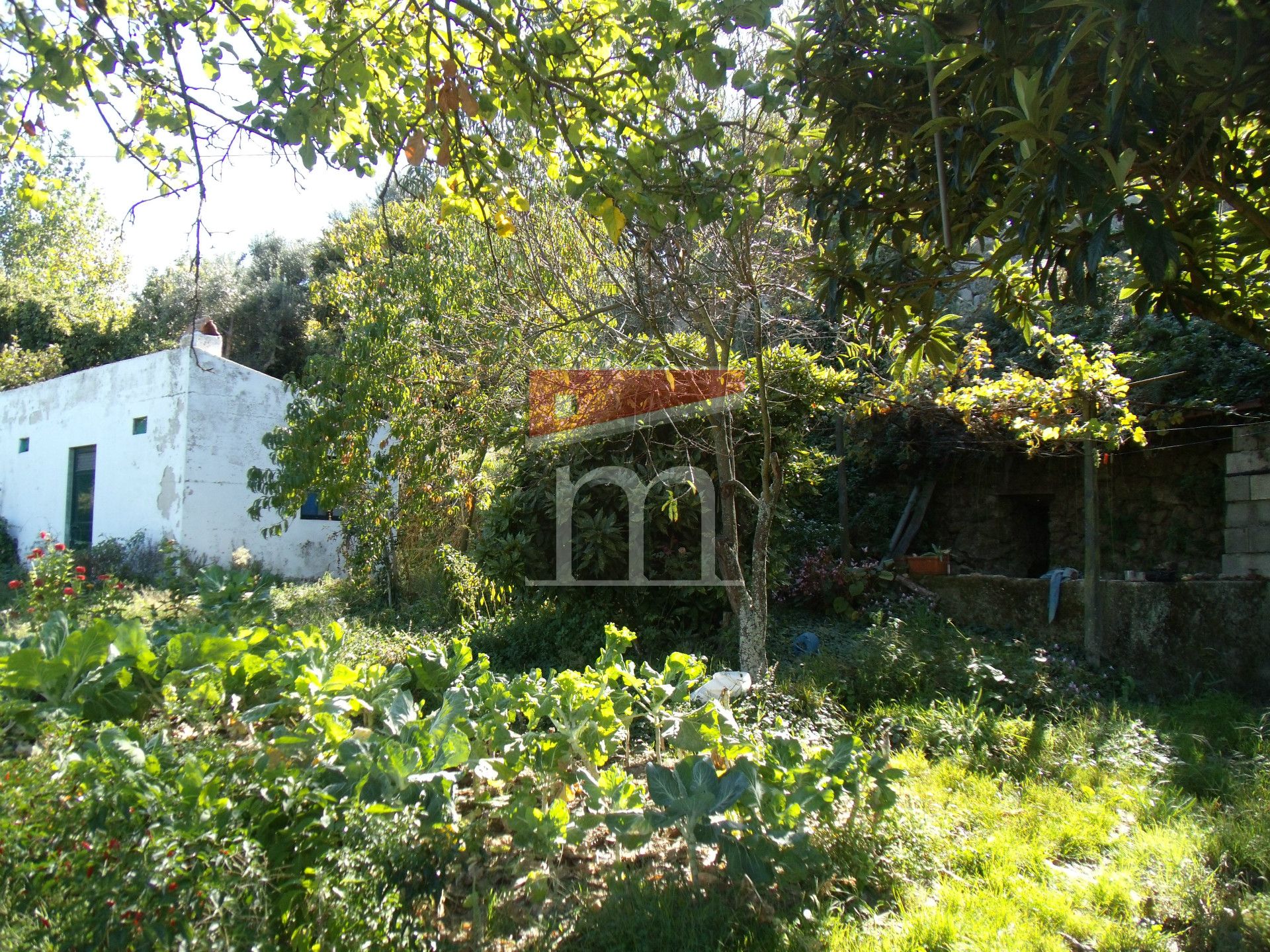 Terreno Para Construção