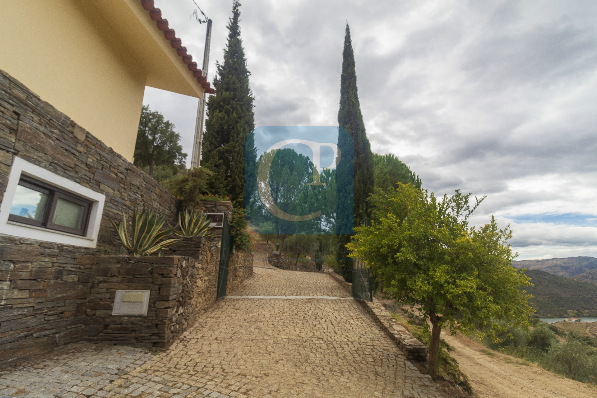 Quinta no Alto Douro Vinhateiro