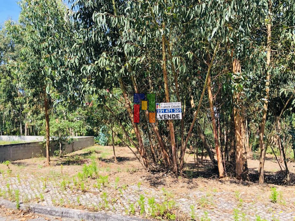 Real Estate building T3