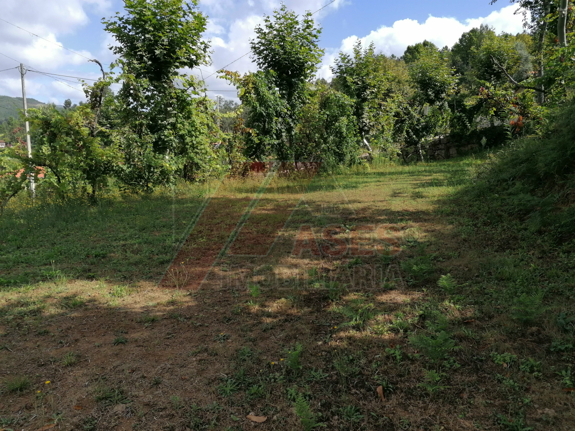 Terreno Para Construcción