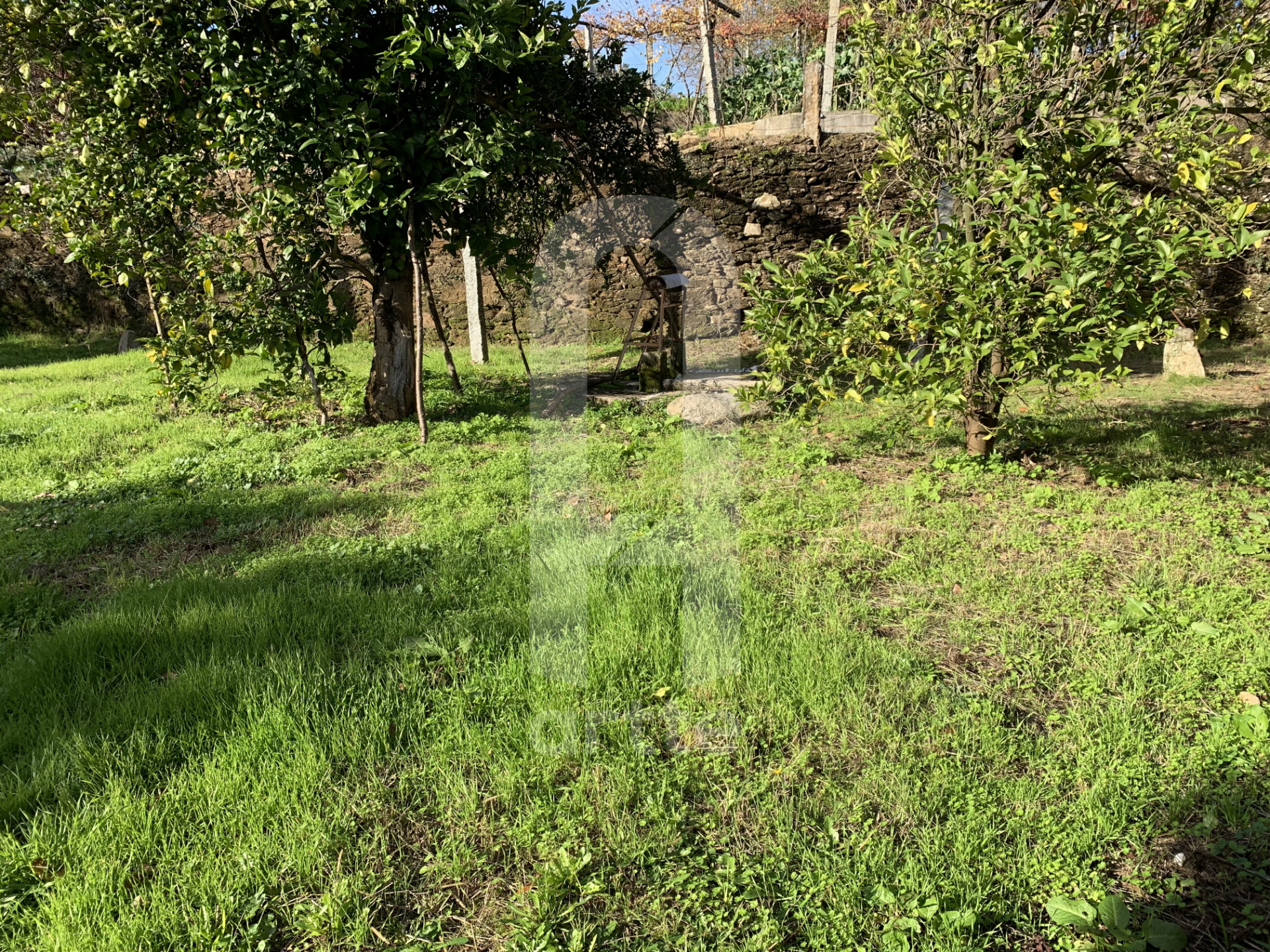 Bauernhaus 7 Schlafzimmer