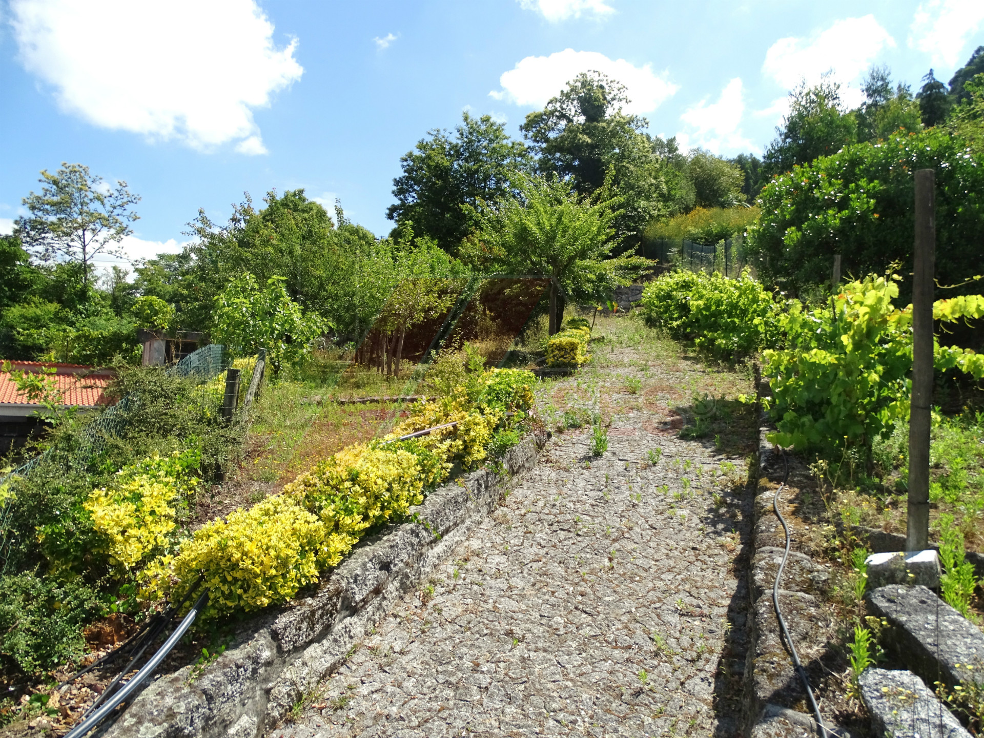 Petite ferme 4 Chambre(s)+1