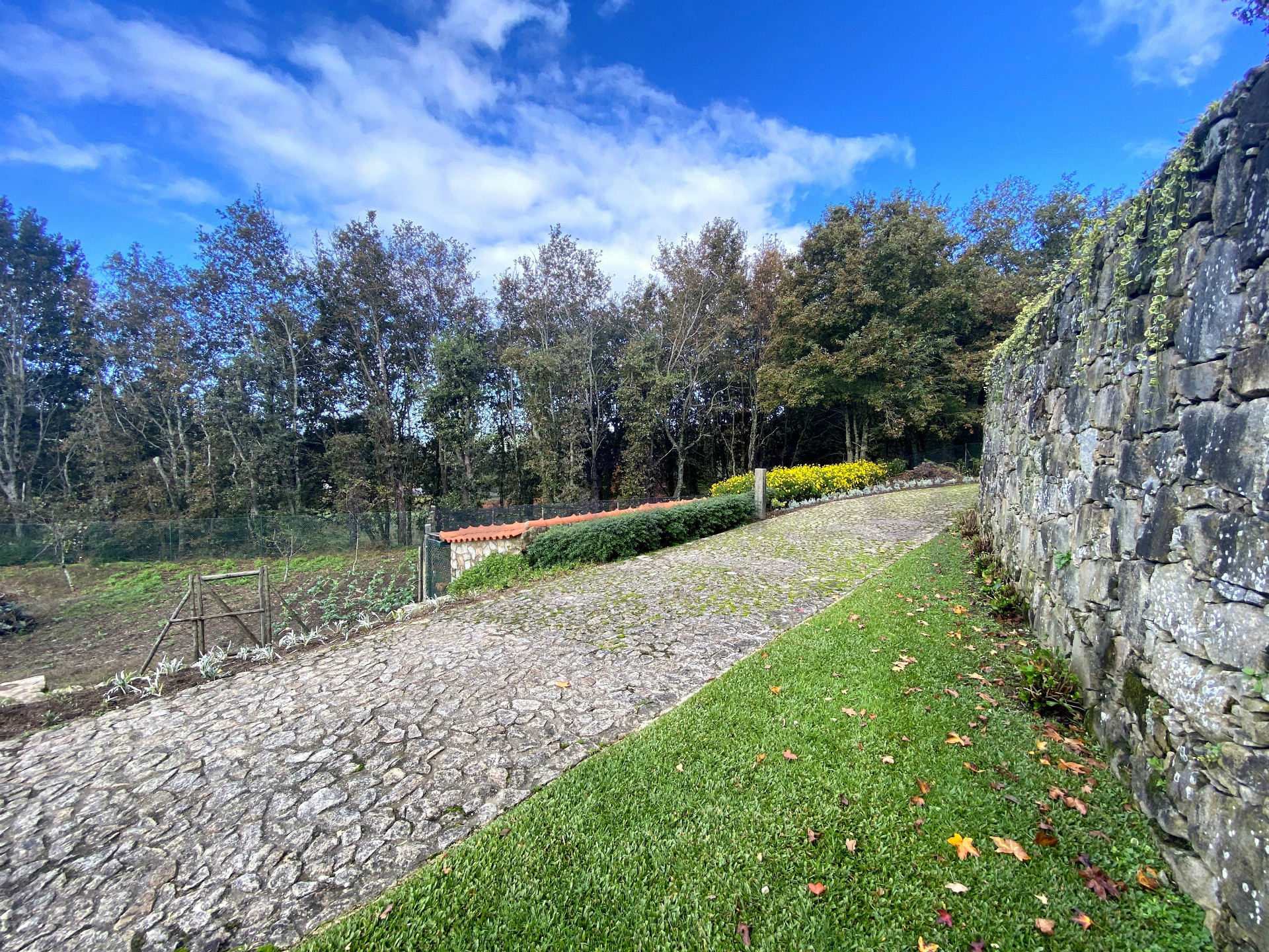 Propriété de tourisme rural sur le Camino de Santiago