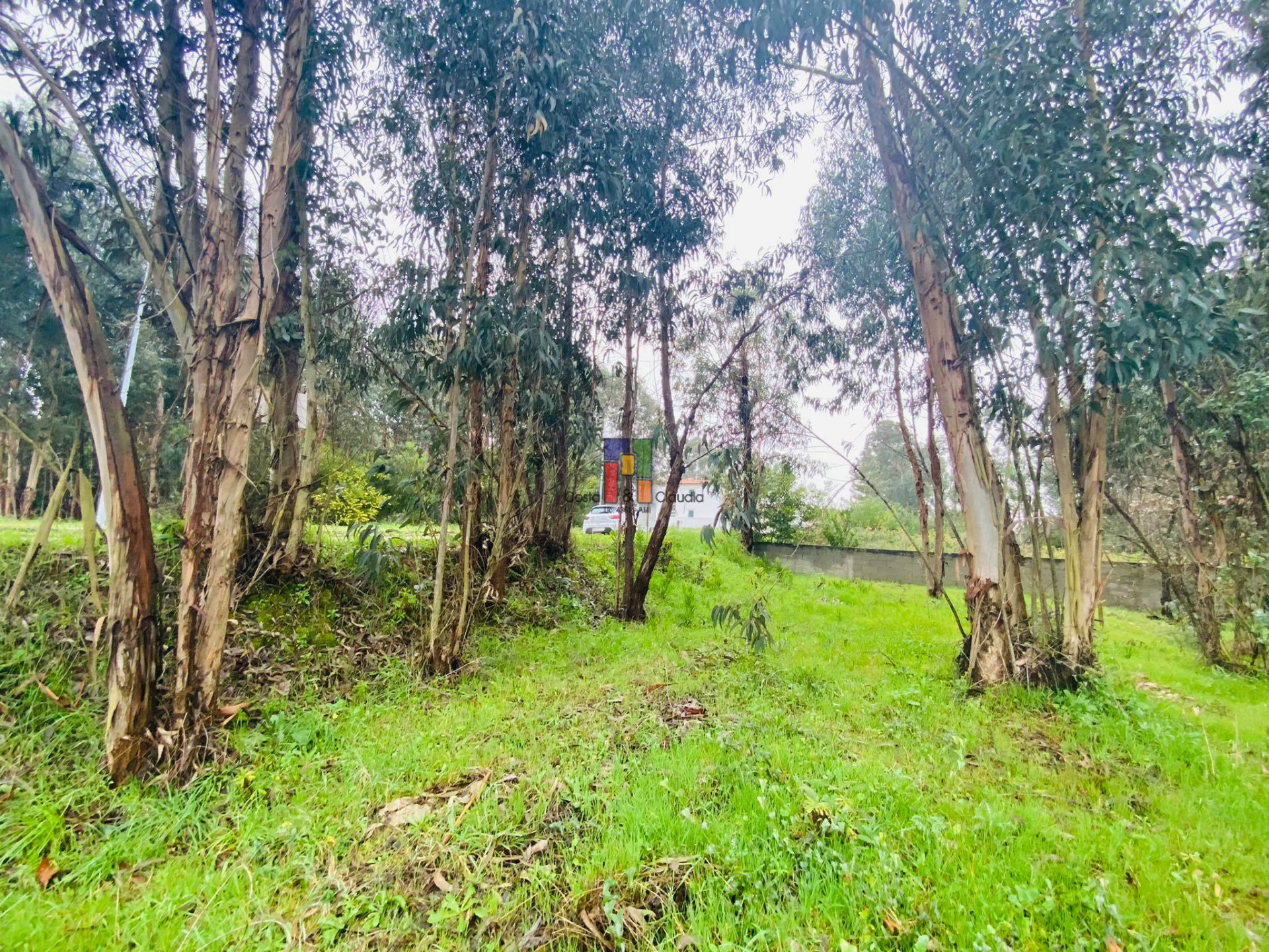 Real Estate building T3