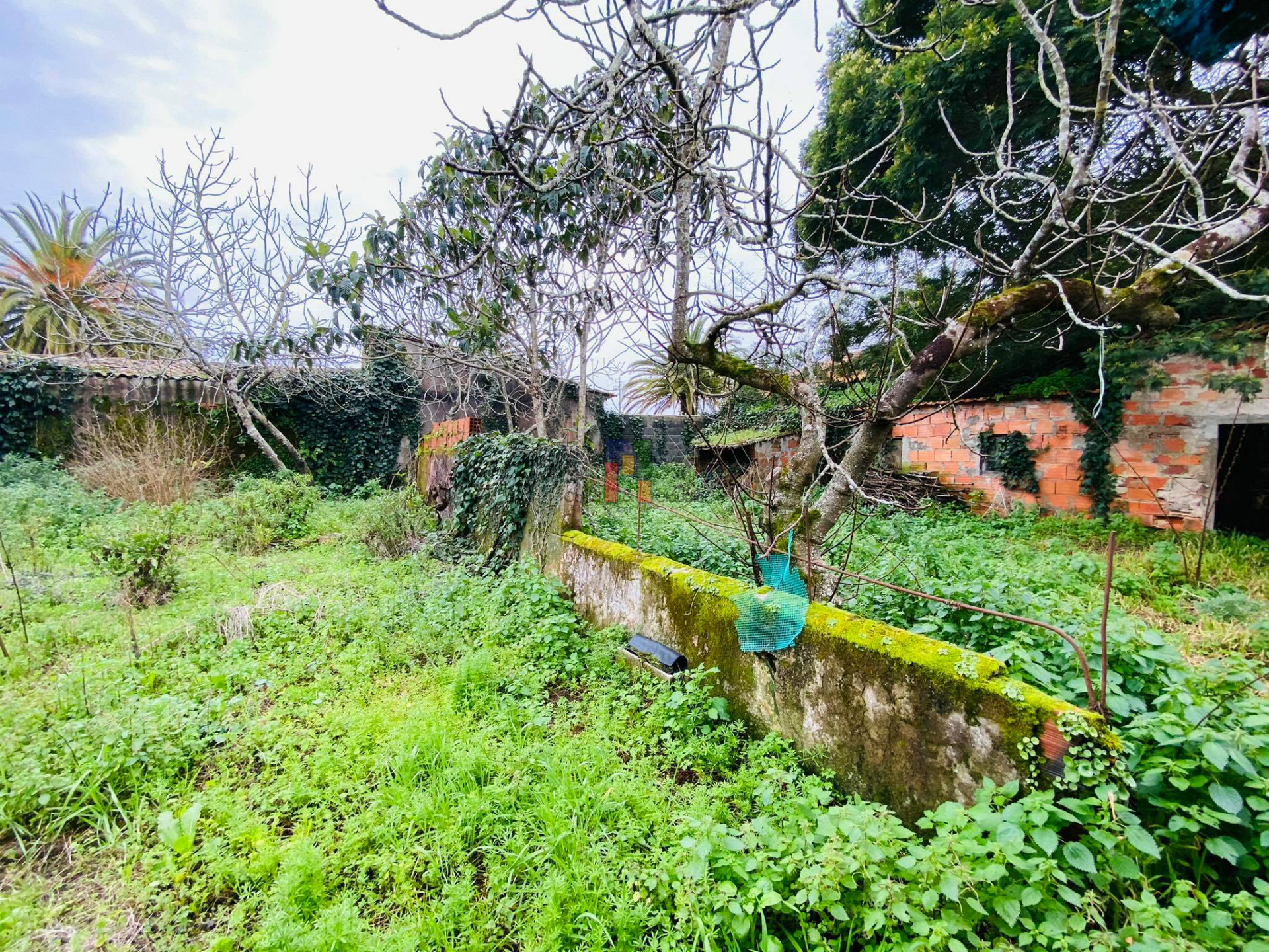 Scrapped Building T3