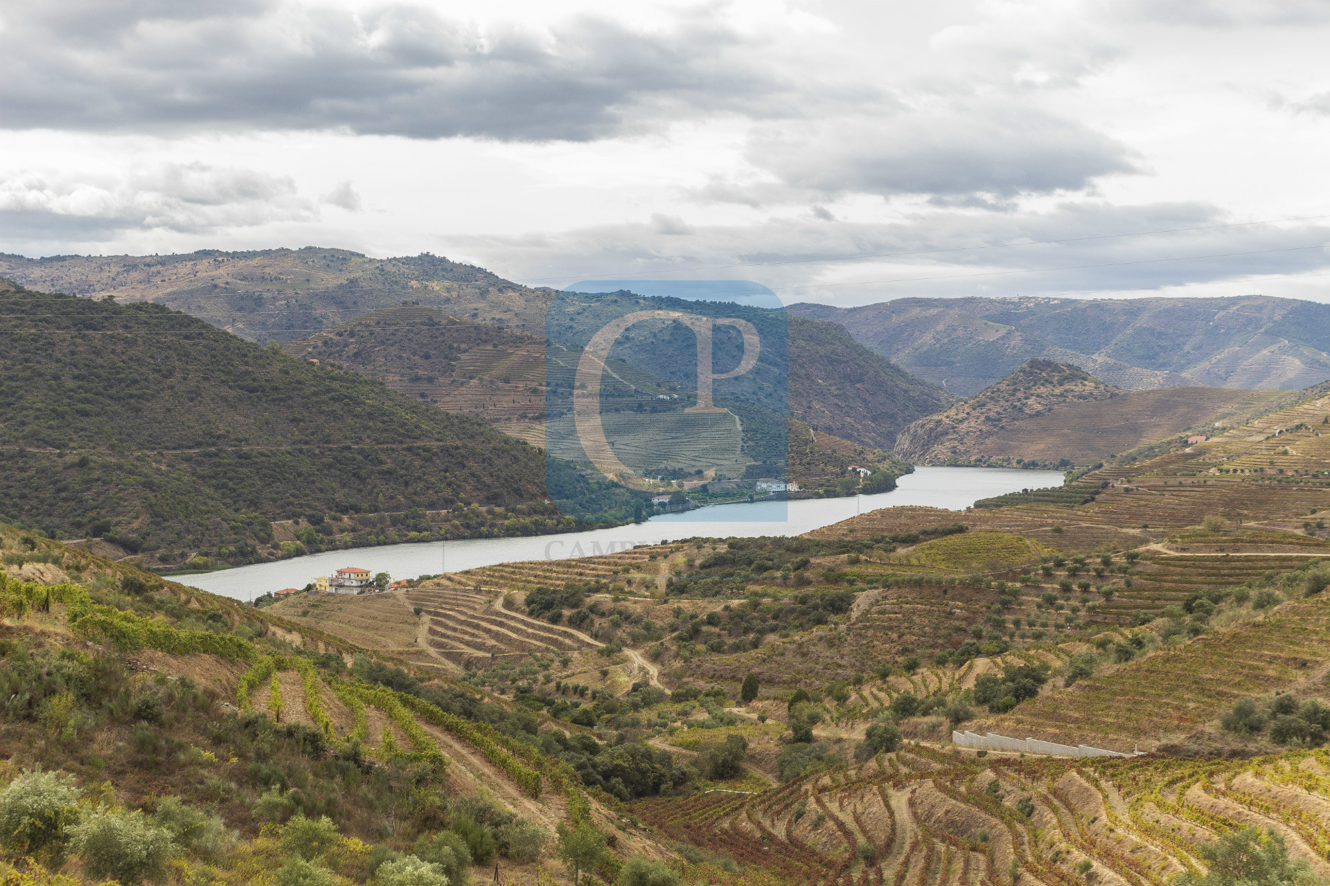 Quinta no Alto Douro Vinhateiro