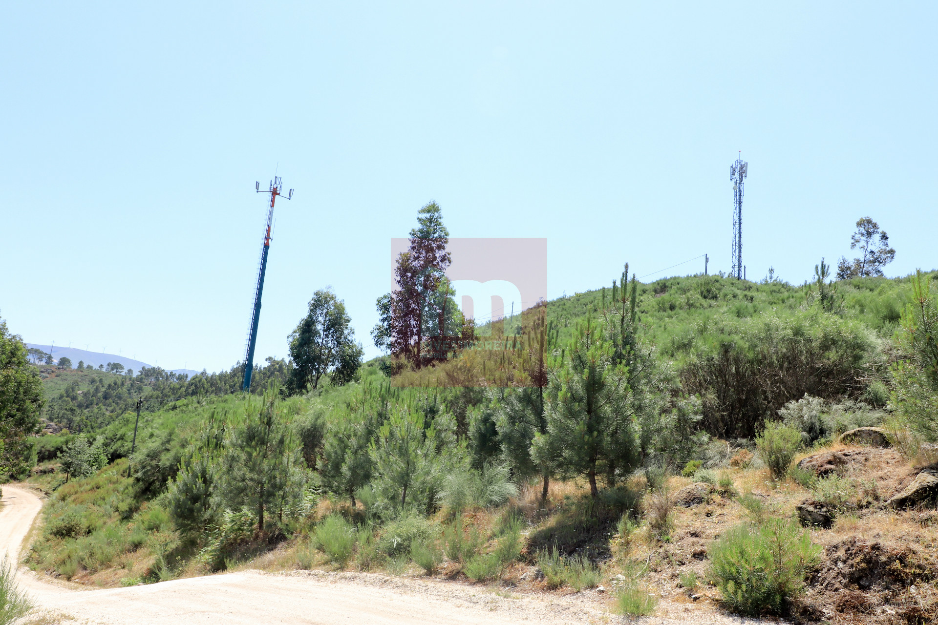 Herdade