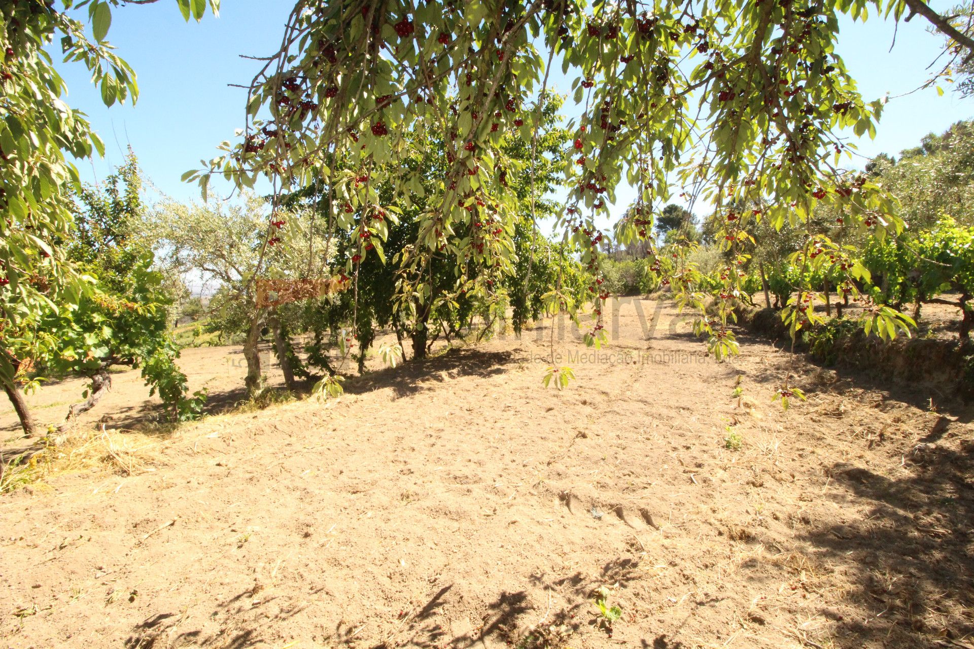 Quintinha T2+1 DUPLEX