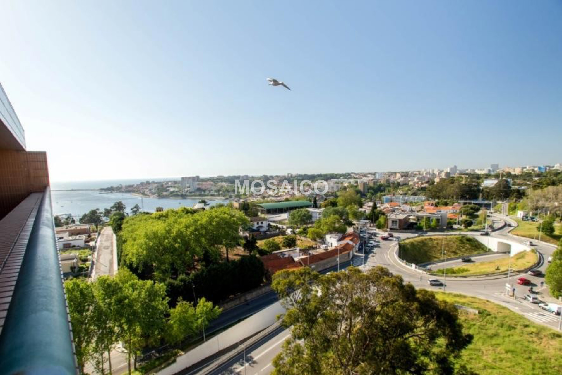 Appartement 3 Chambre(s)+1