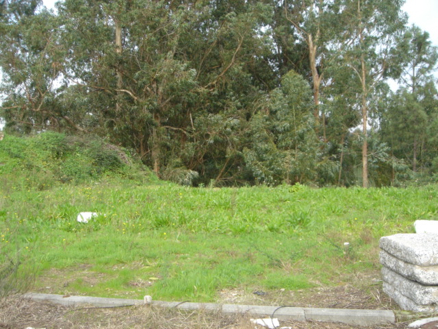 BelleVille Sociedade de Mediação Imobiliária, Lda