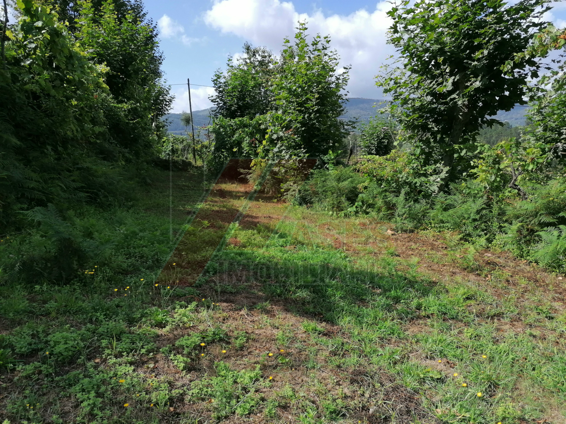 Terreno Para Construcción
