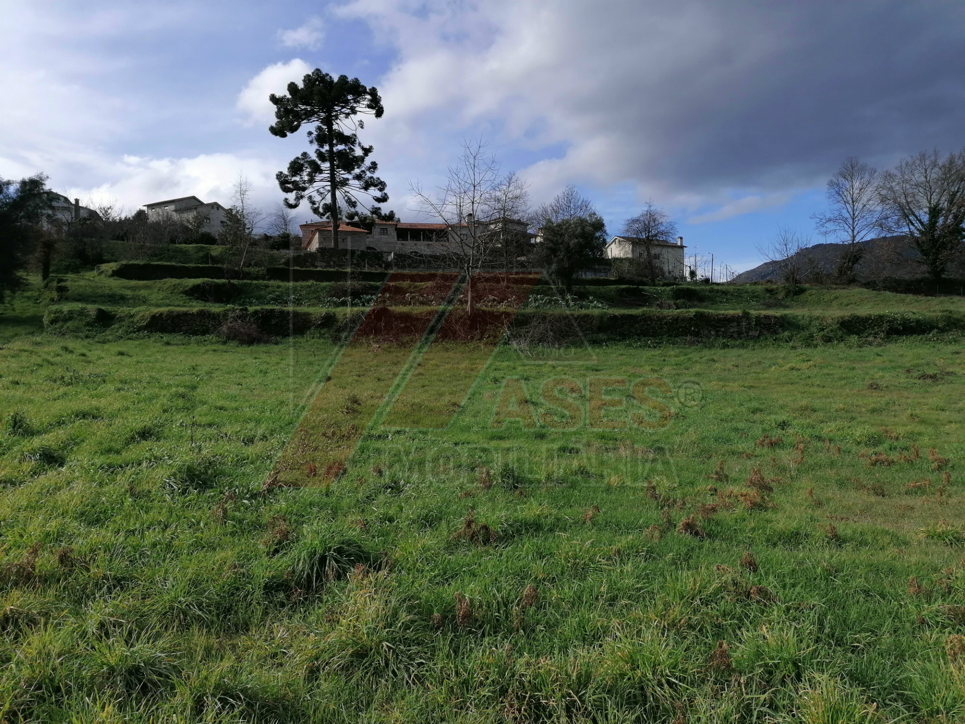 herencia 4 habitaciones