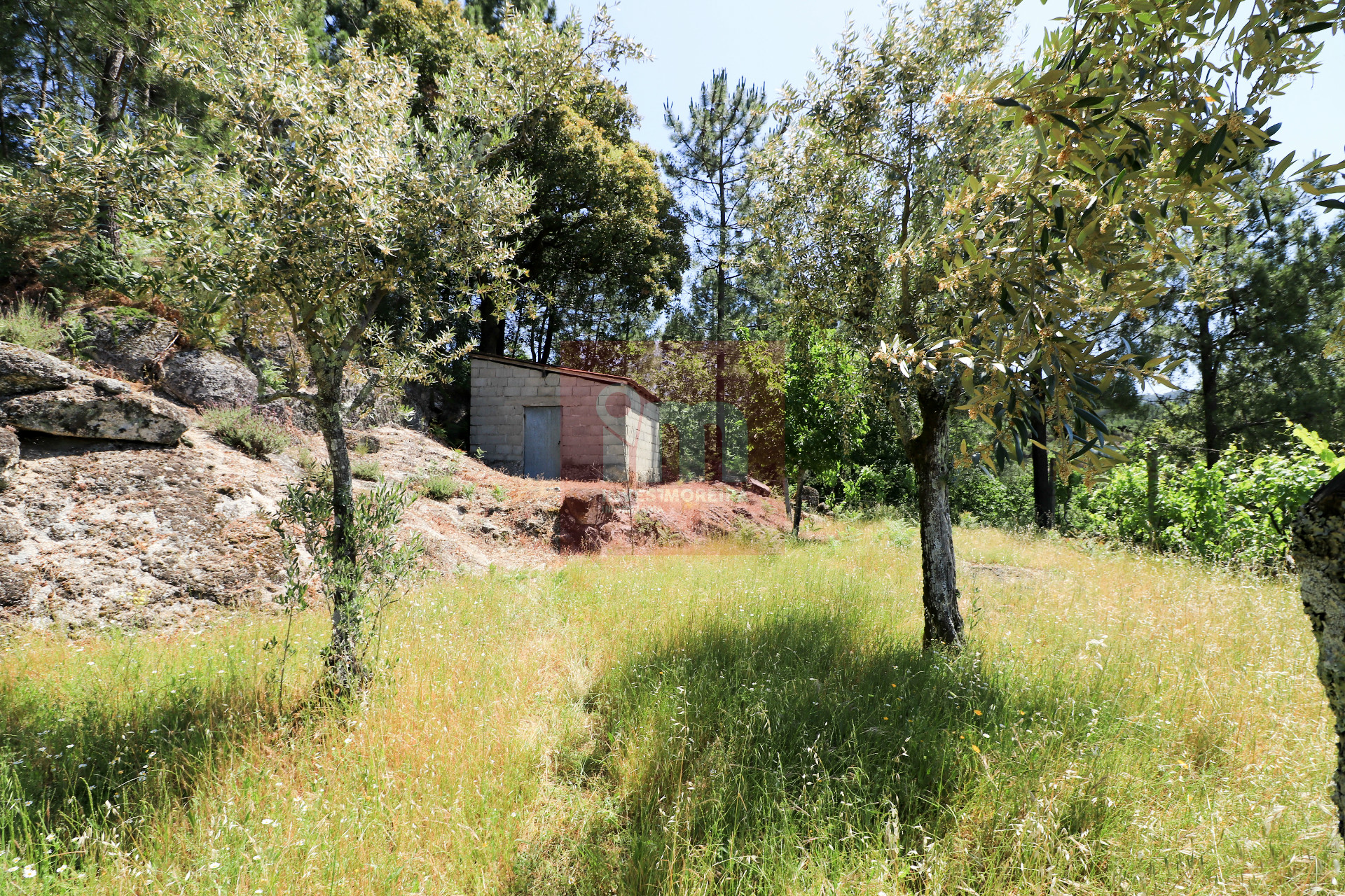Herdade