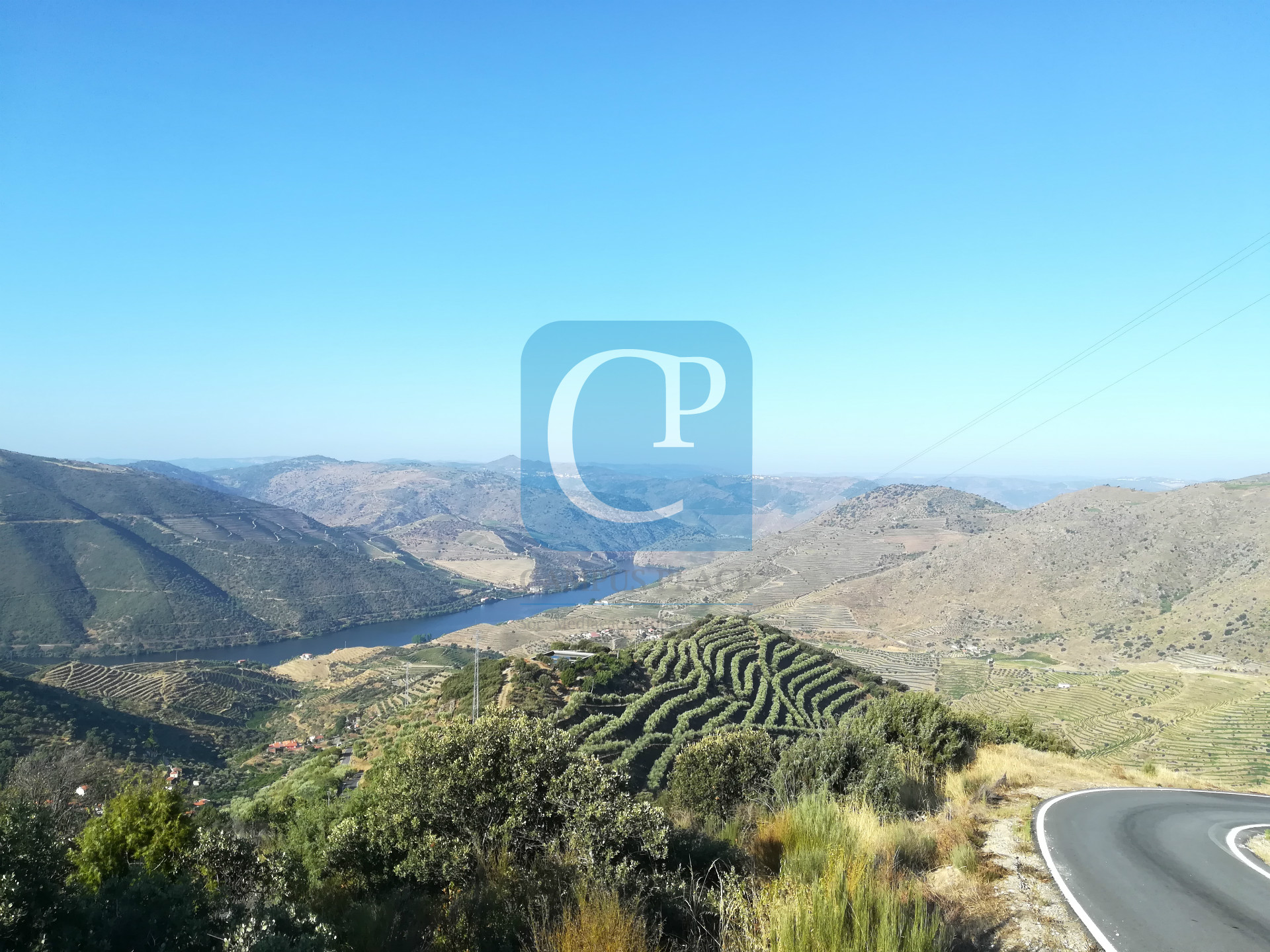 Quinta no Alto Douro Vinhateiro