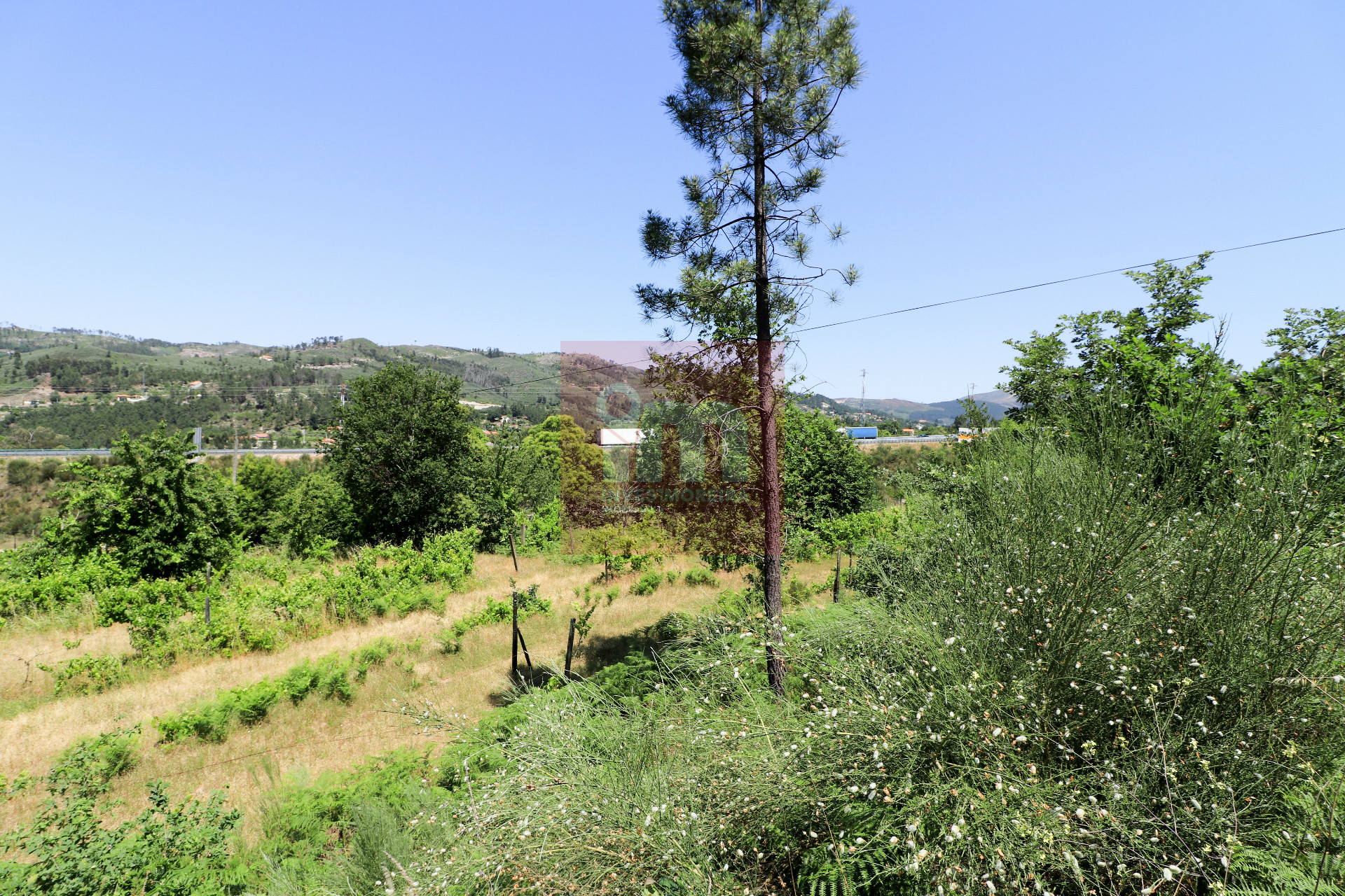 Herdade