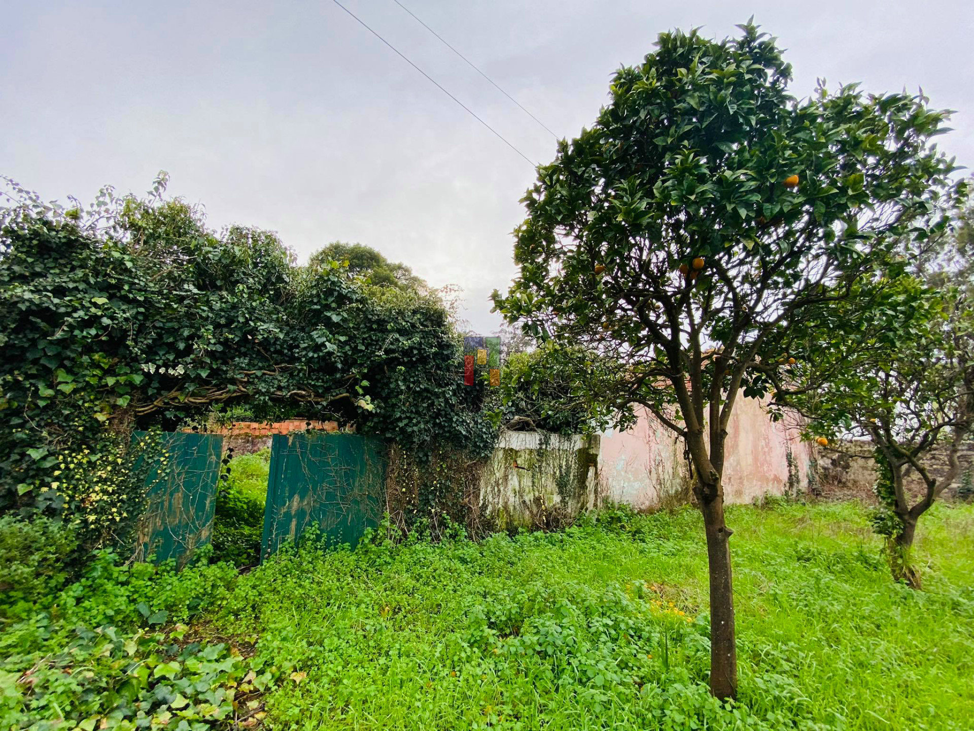 Scrapped Building T3