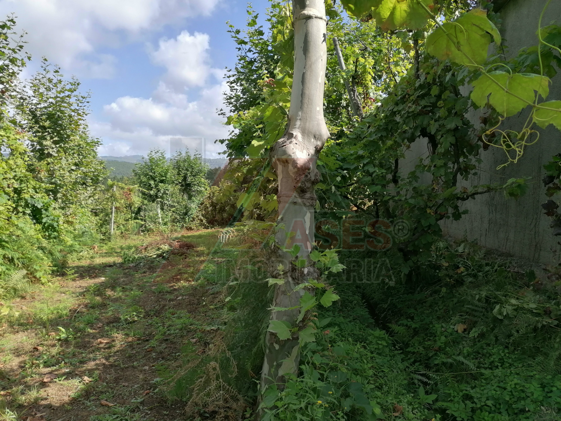 Terreno Para Construcción