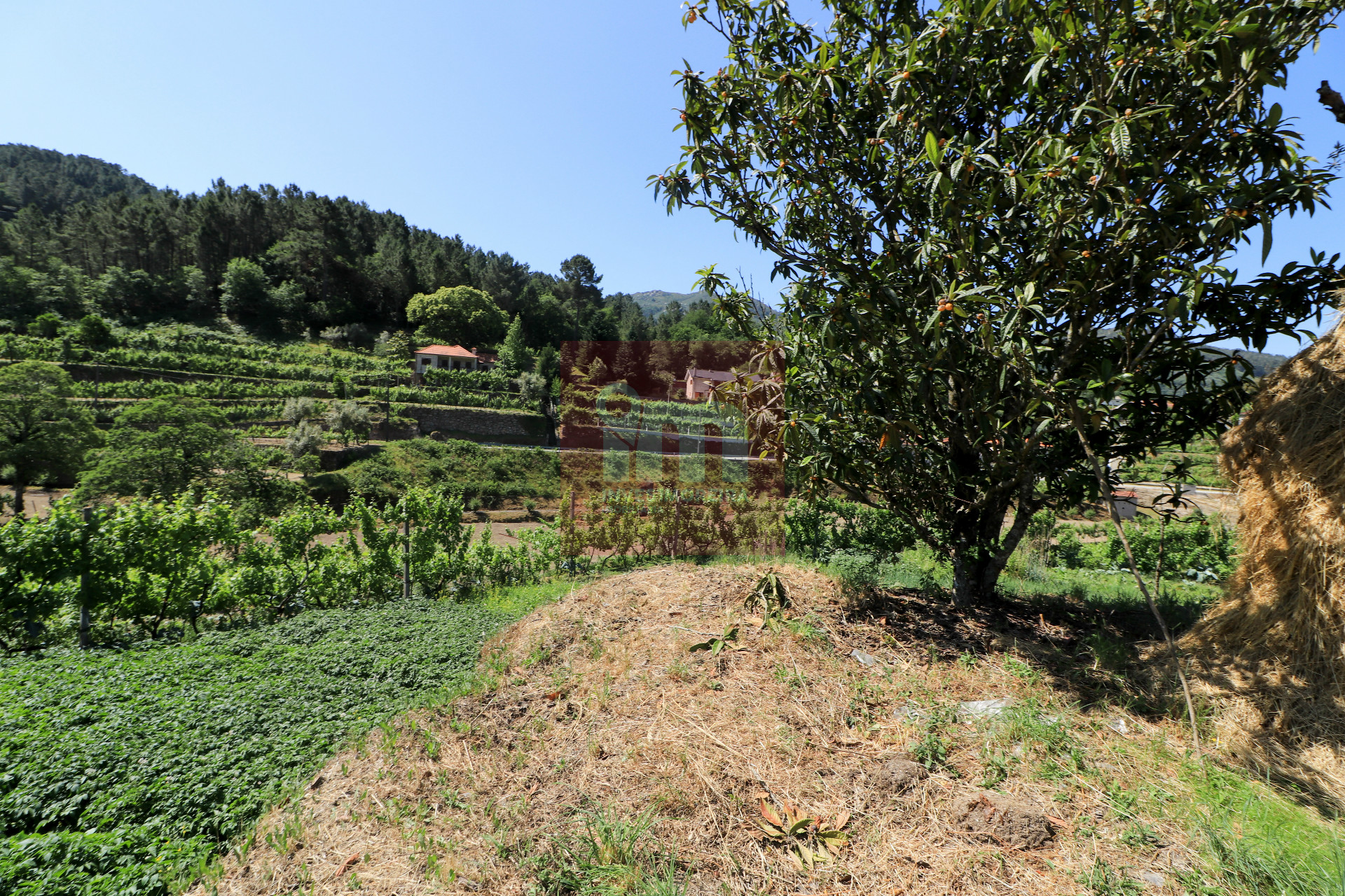 Herdade