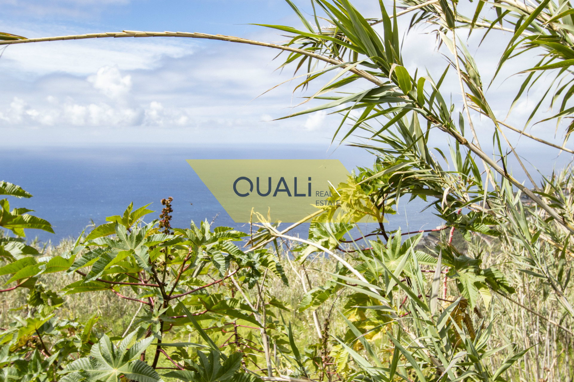 Terrain avec 465 m2 à Tabua - Madère. €50.000,00