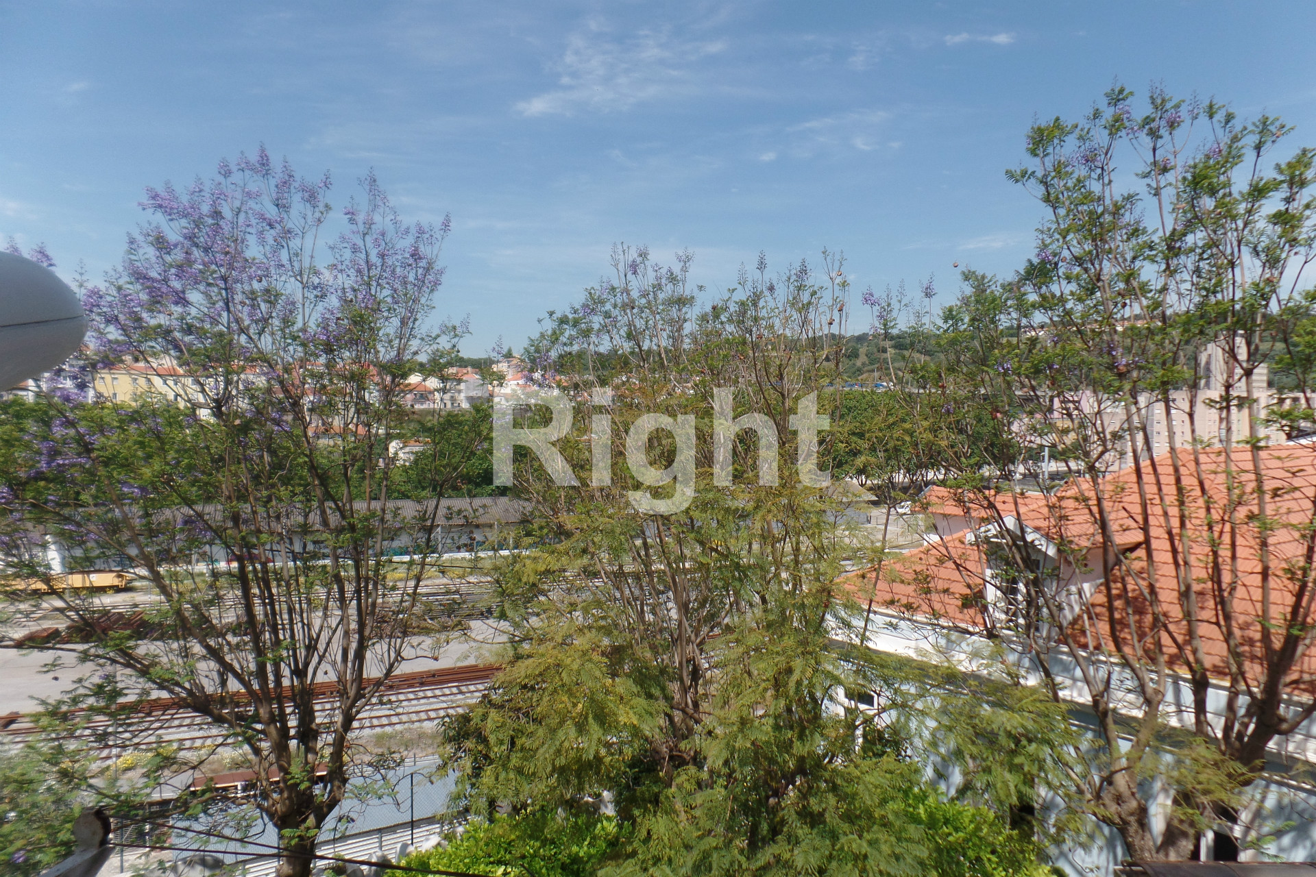 Квартира T1+1