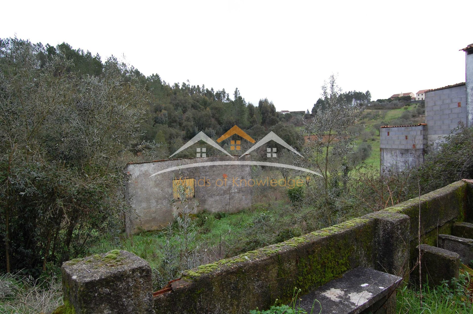 独立屋恢复 3个房间