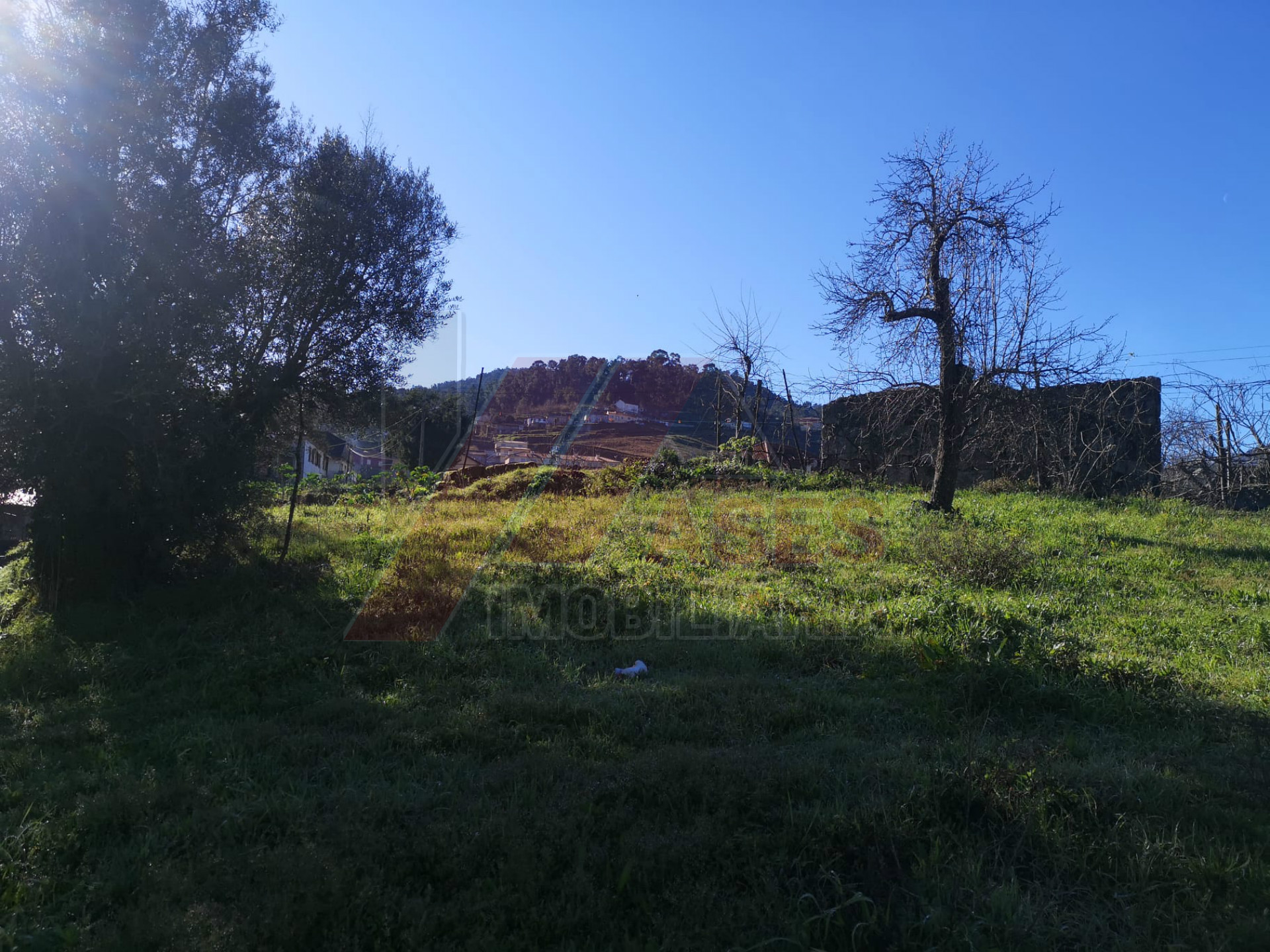 Terreno per Costruzione