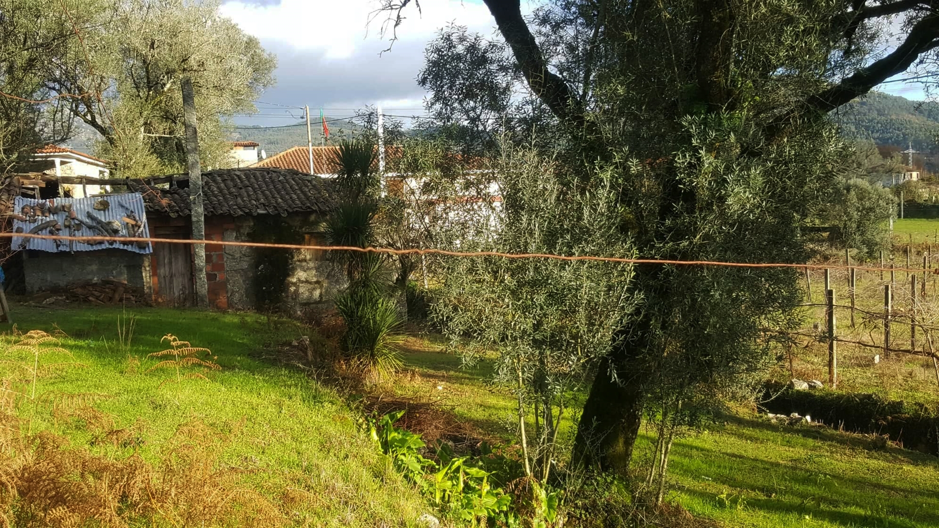 Scrapped Building T2