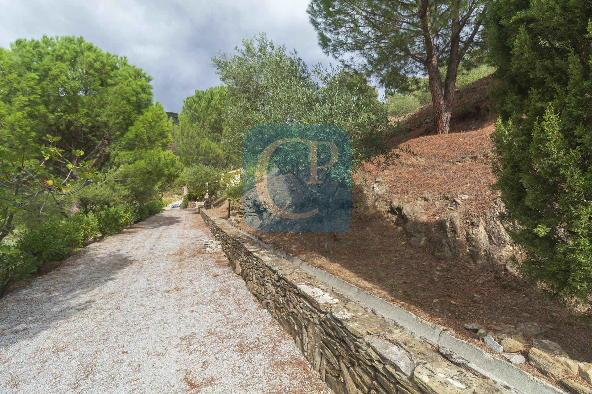 Quinta no Alto Douro Vinhateiro