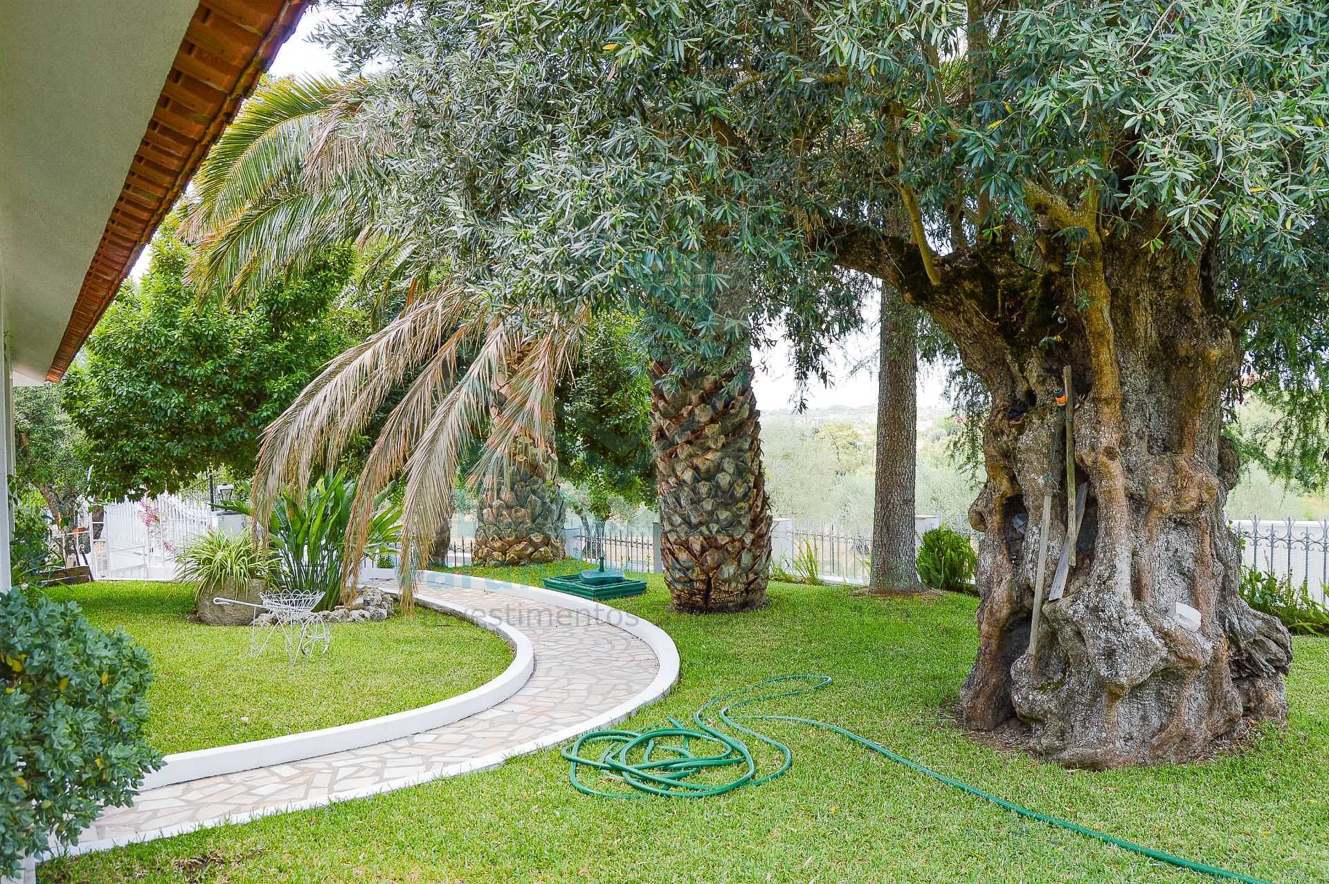 Maison 3 Chambre(s)+1