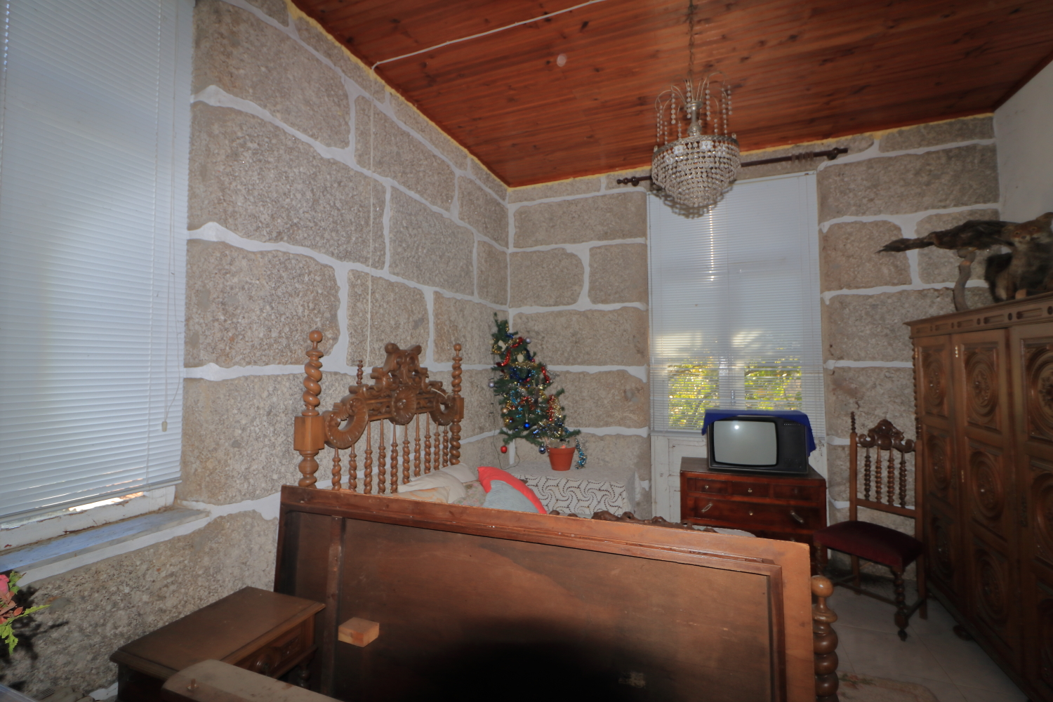 Quinta T5